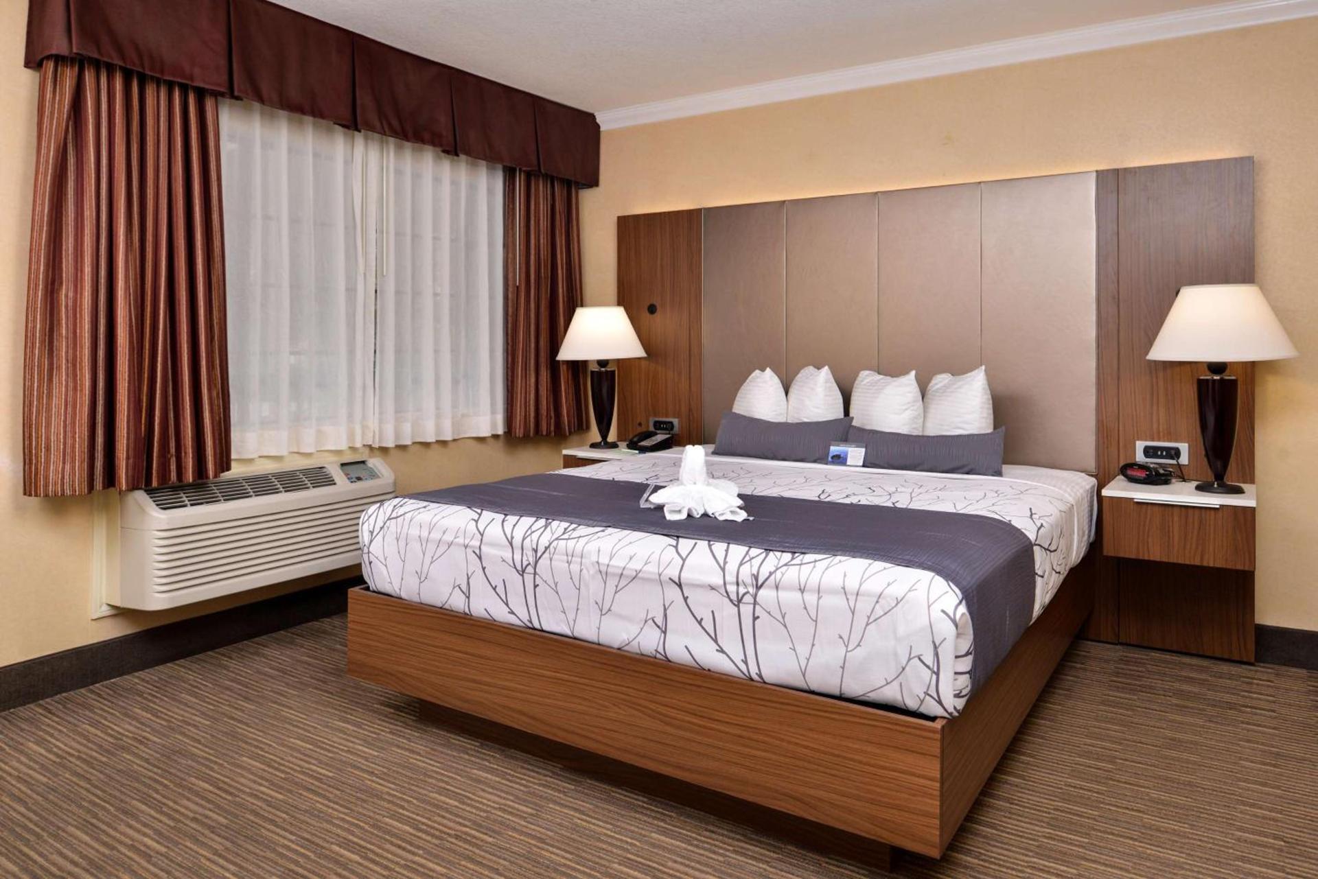 Best Western Hollywood Plaza Hotel - Walk of Fame Film City LA photo 22