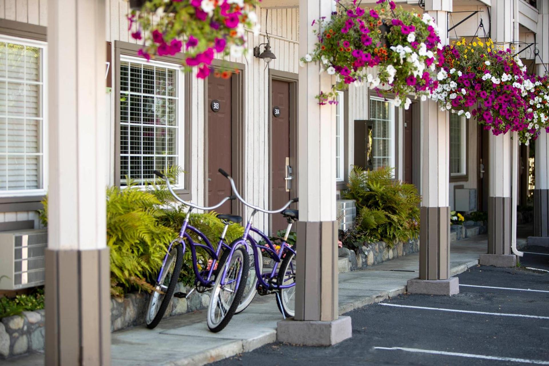 Earthbox Inn & Spa photo 4