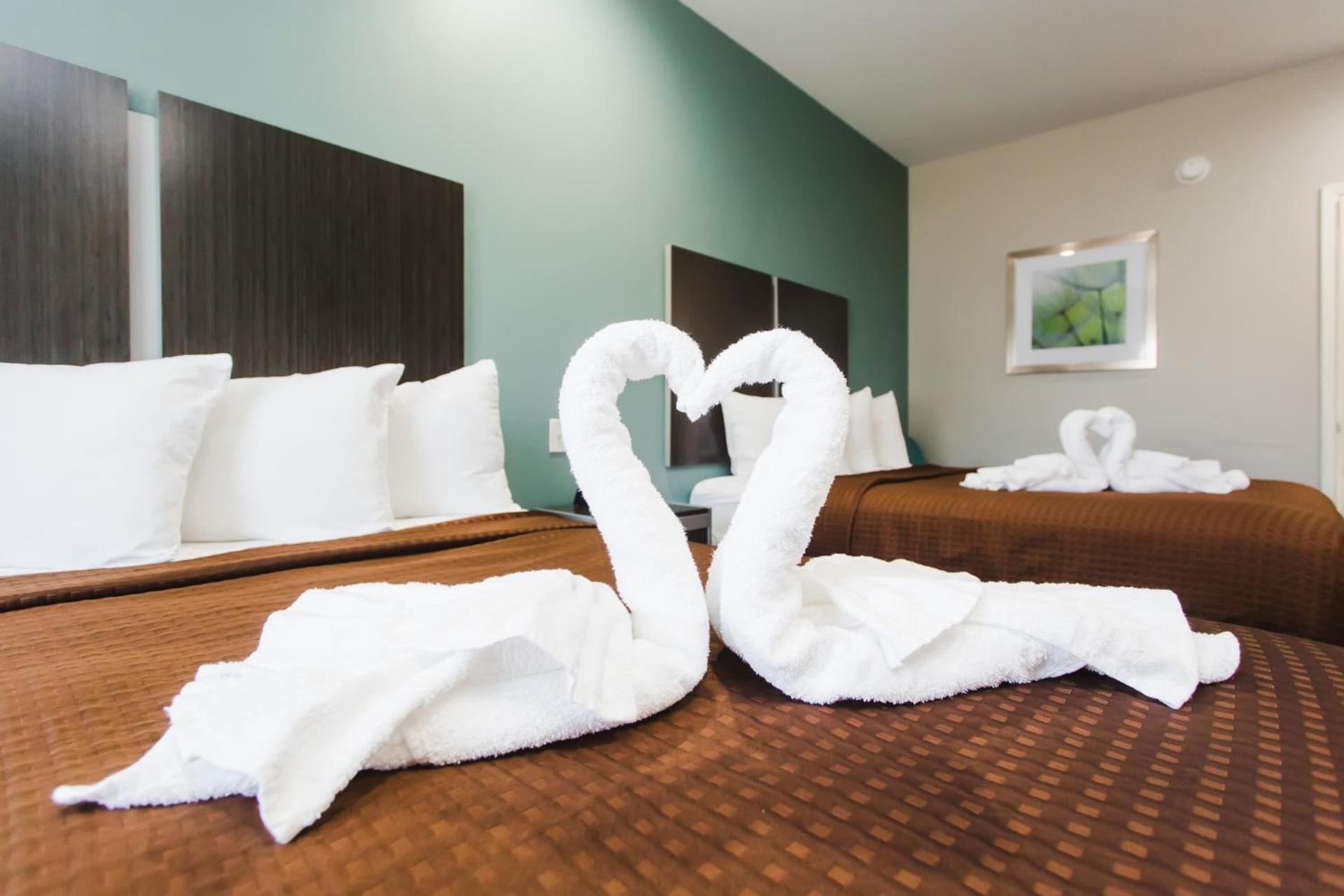 Express Inn - Spring photo 34