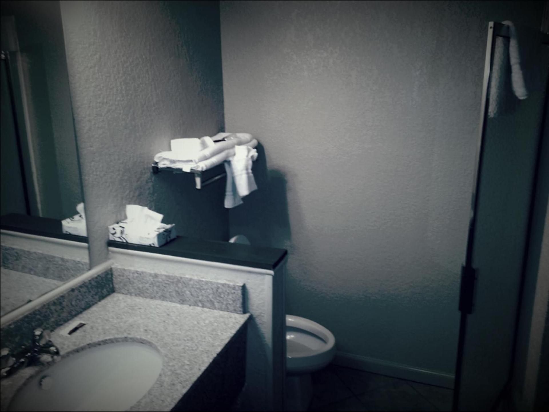 Americourt Hotel and Suites - Elizabethton photo 55