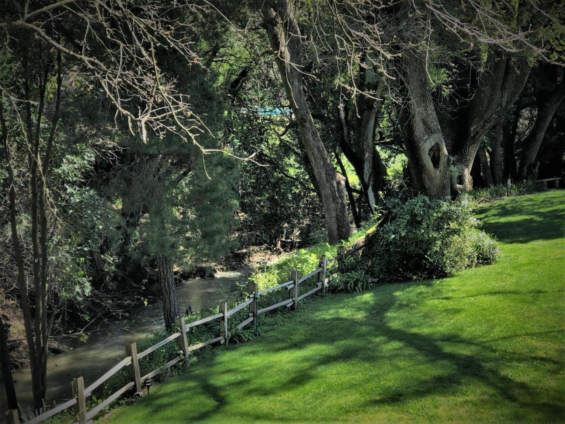 Stahlecker House Inn photo 16