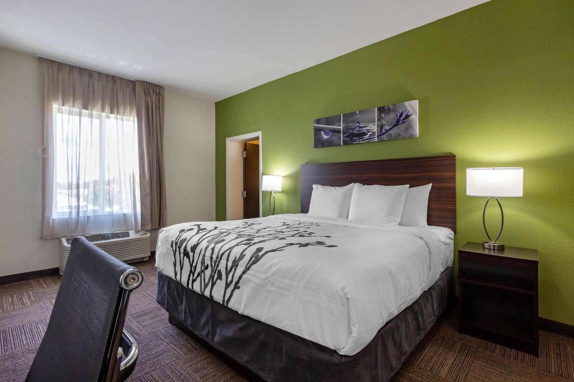 Sleep Inn & Suites Tampa South photo 28