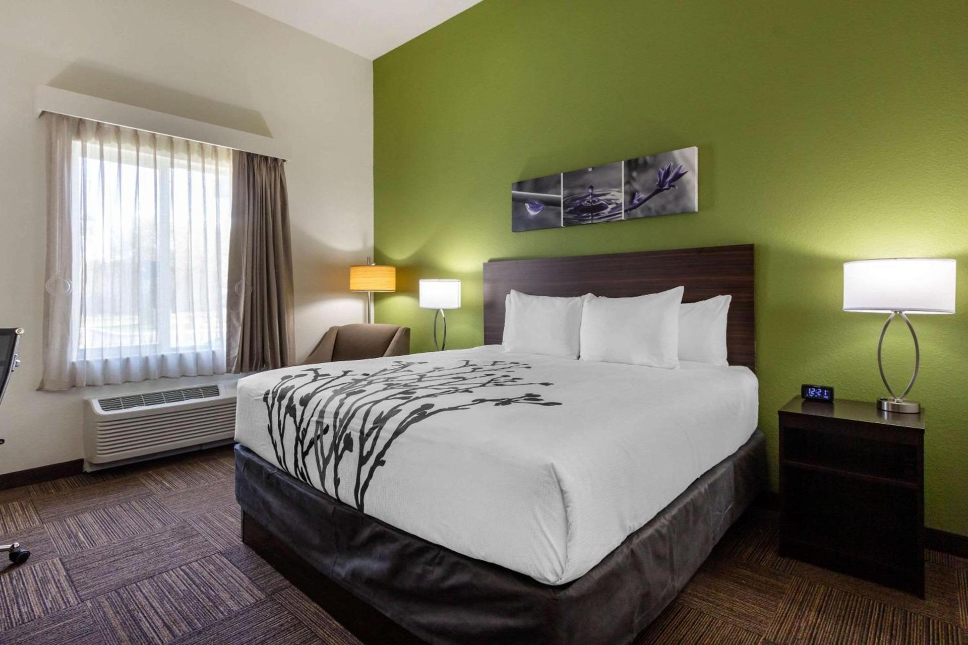 Sleep Inn & Suites Tampa South photo 9