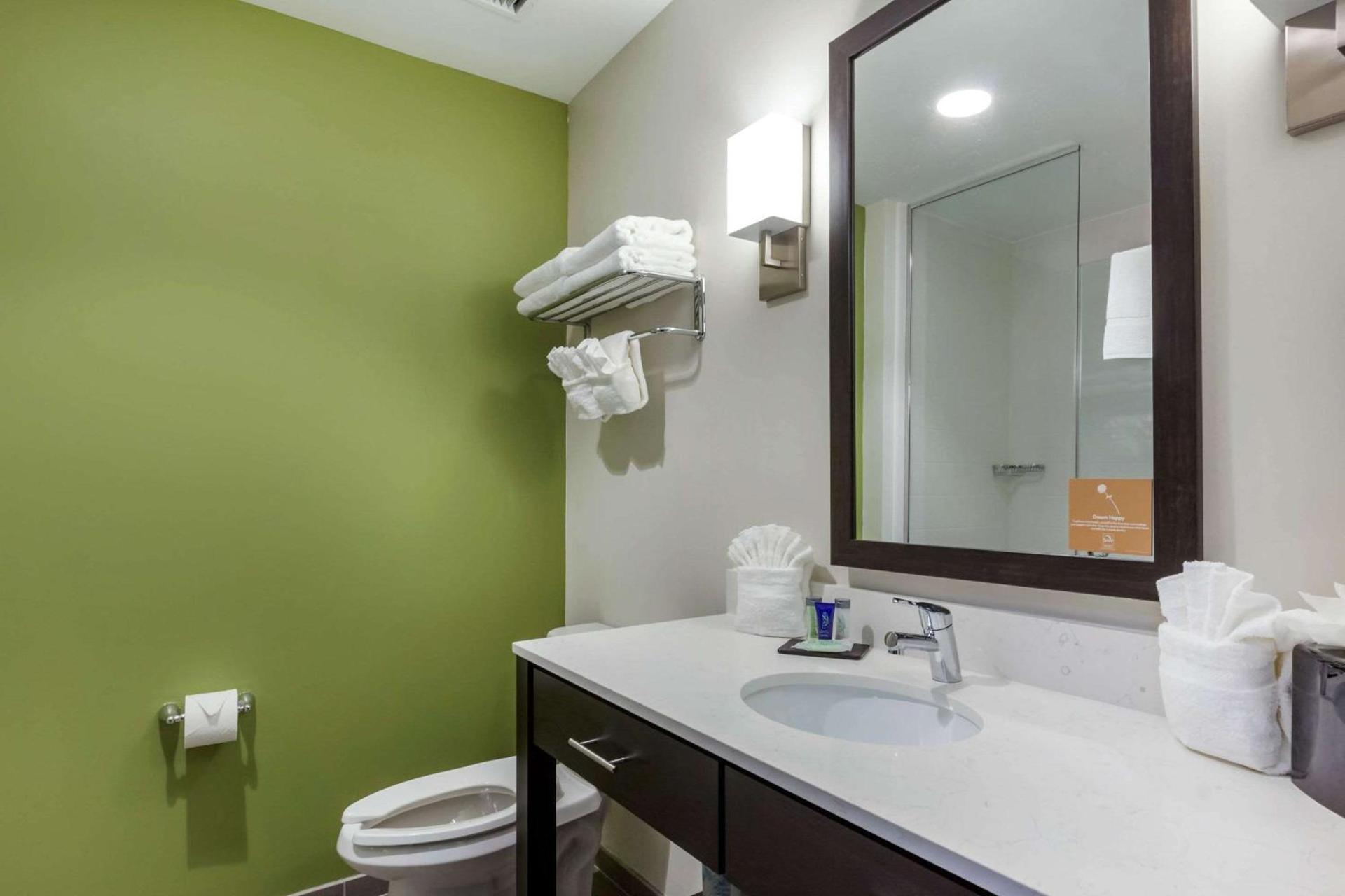 Sleep Inn & Suites Tampa South photo 27