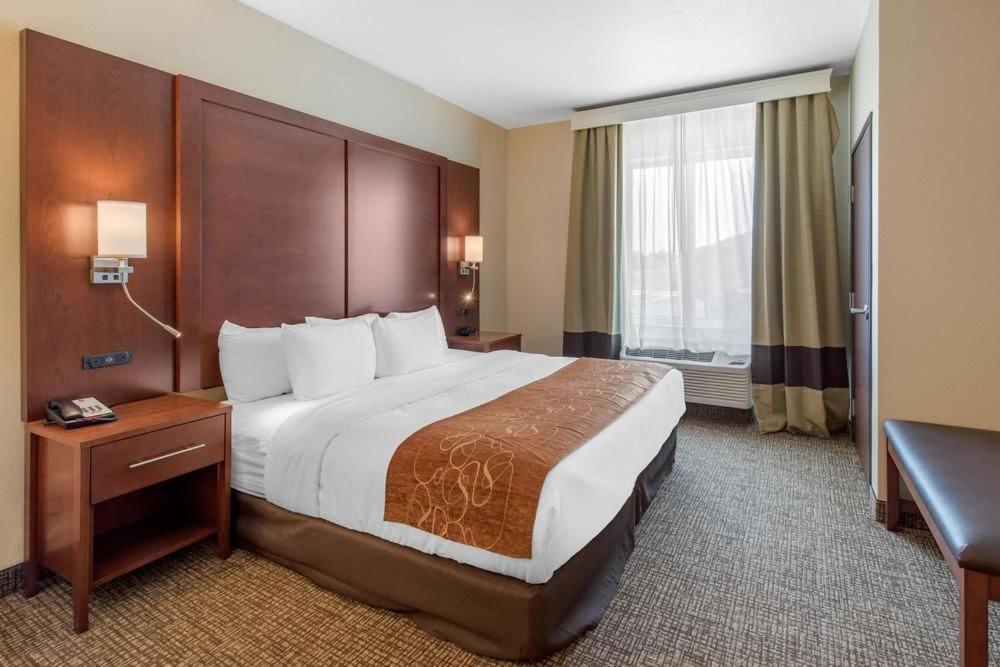 Comfort Suites Denver International Airport photo 13
