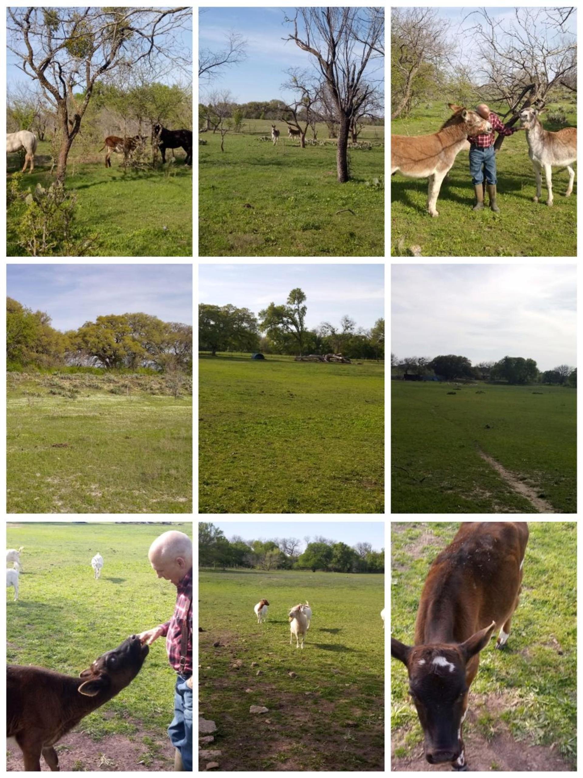 Constantino Farms photo 29