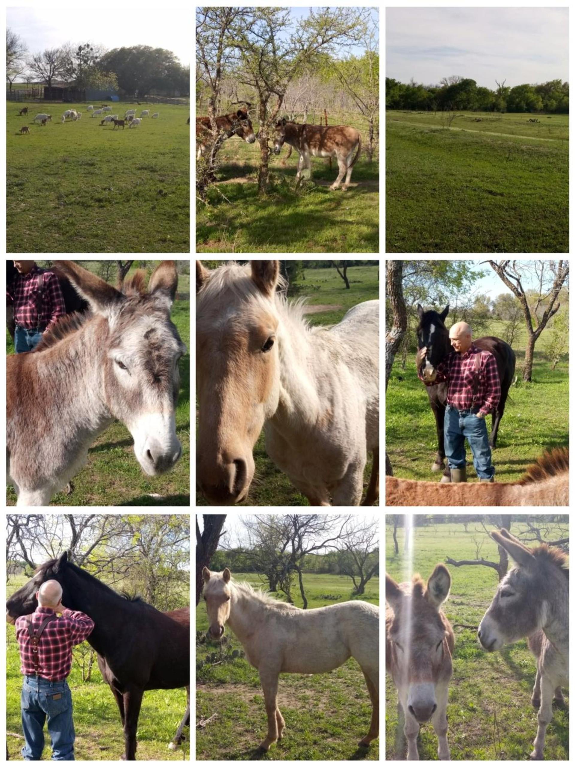 Constantino Farms photo 11