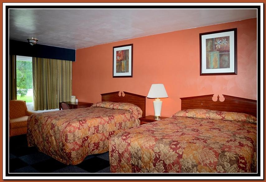 The Cardinal Inn photo 52