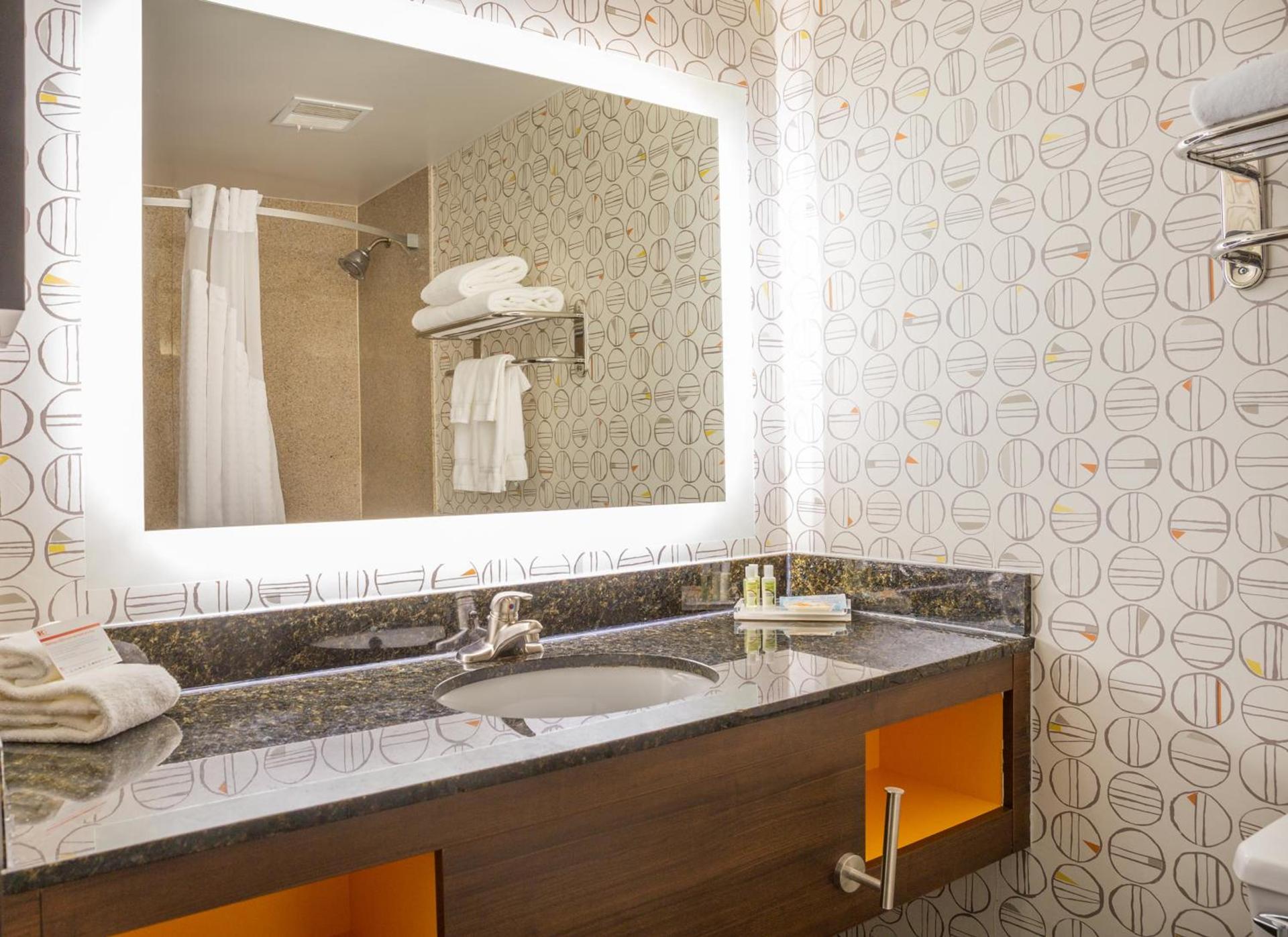 Holiday Inn Toledo - Maumee I-80/90 by IHG photo 9