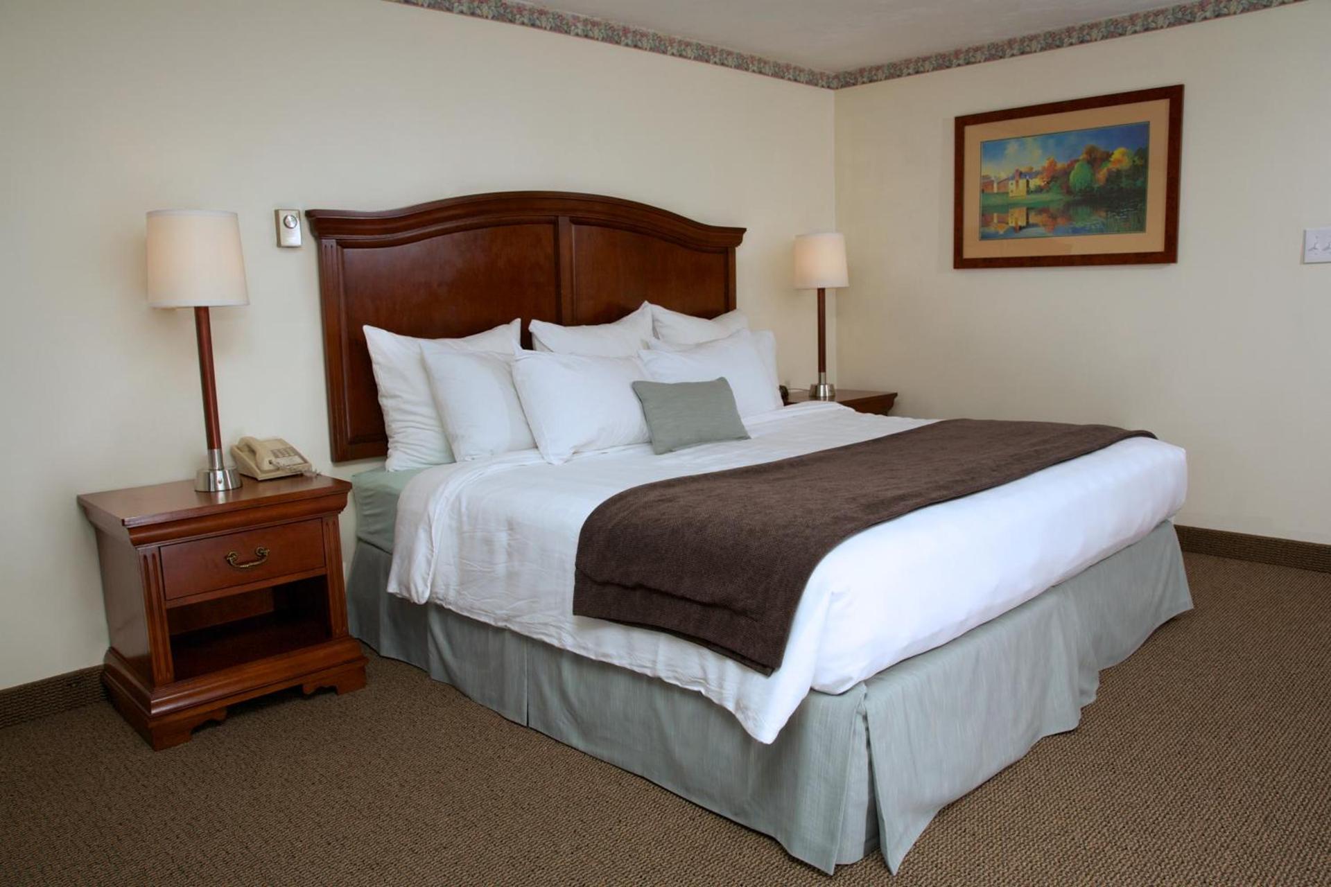 Holiday Hill Inn & Suites photo 38