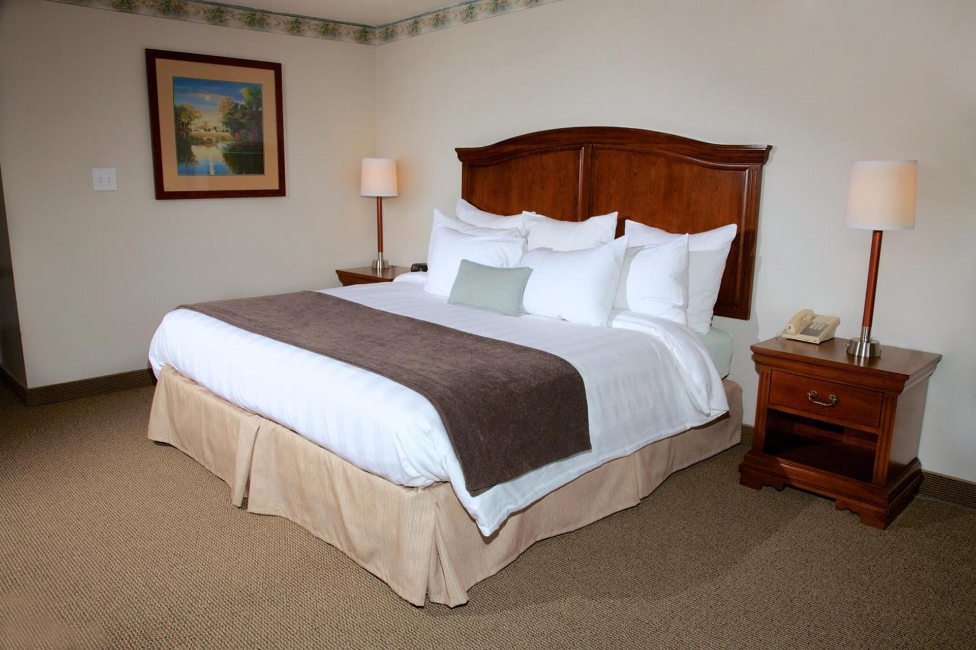 Holiday Hill Inn & Suites photo 11