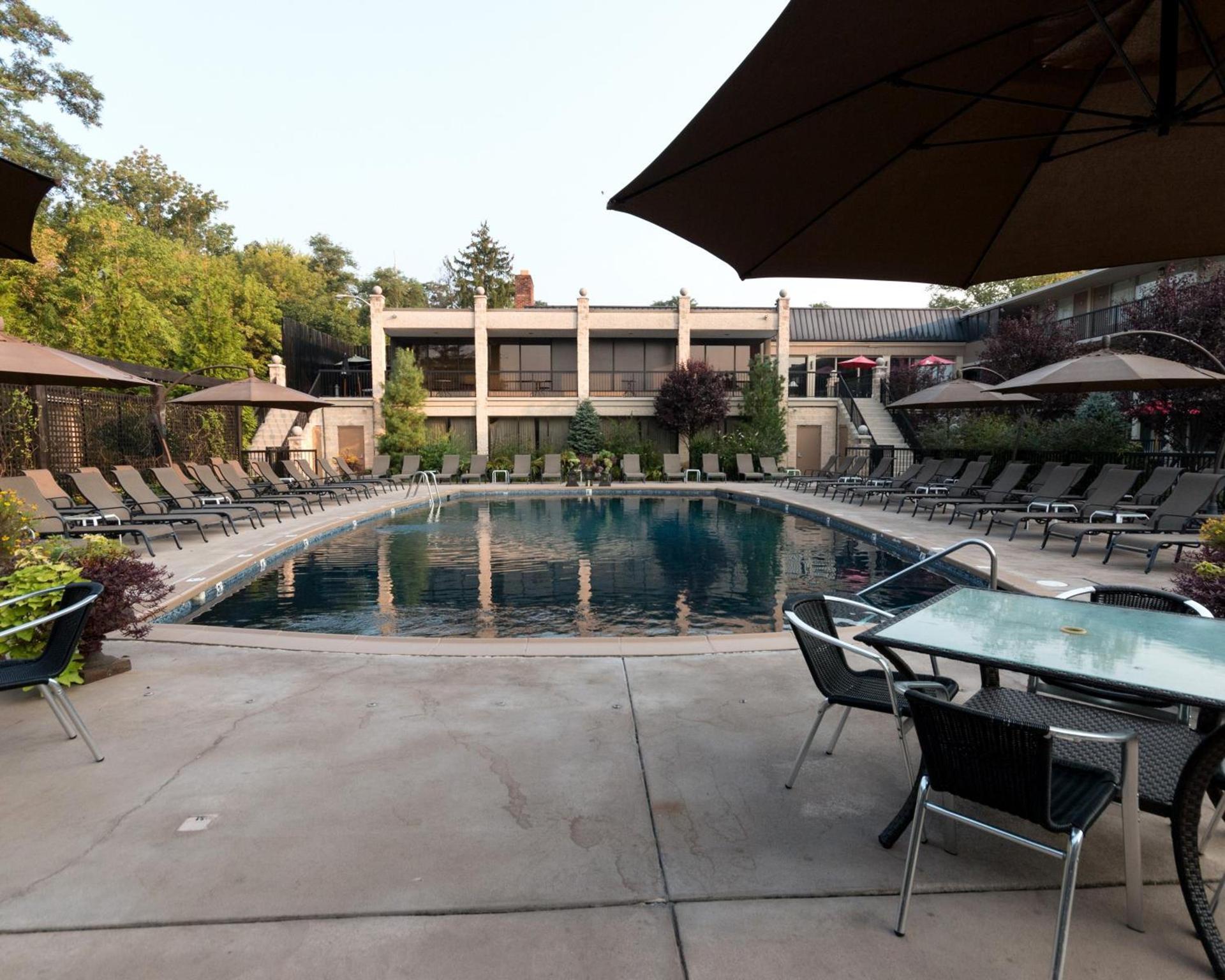 New Hope Inn & Suites photo 3