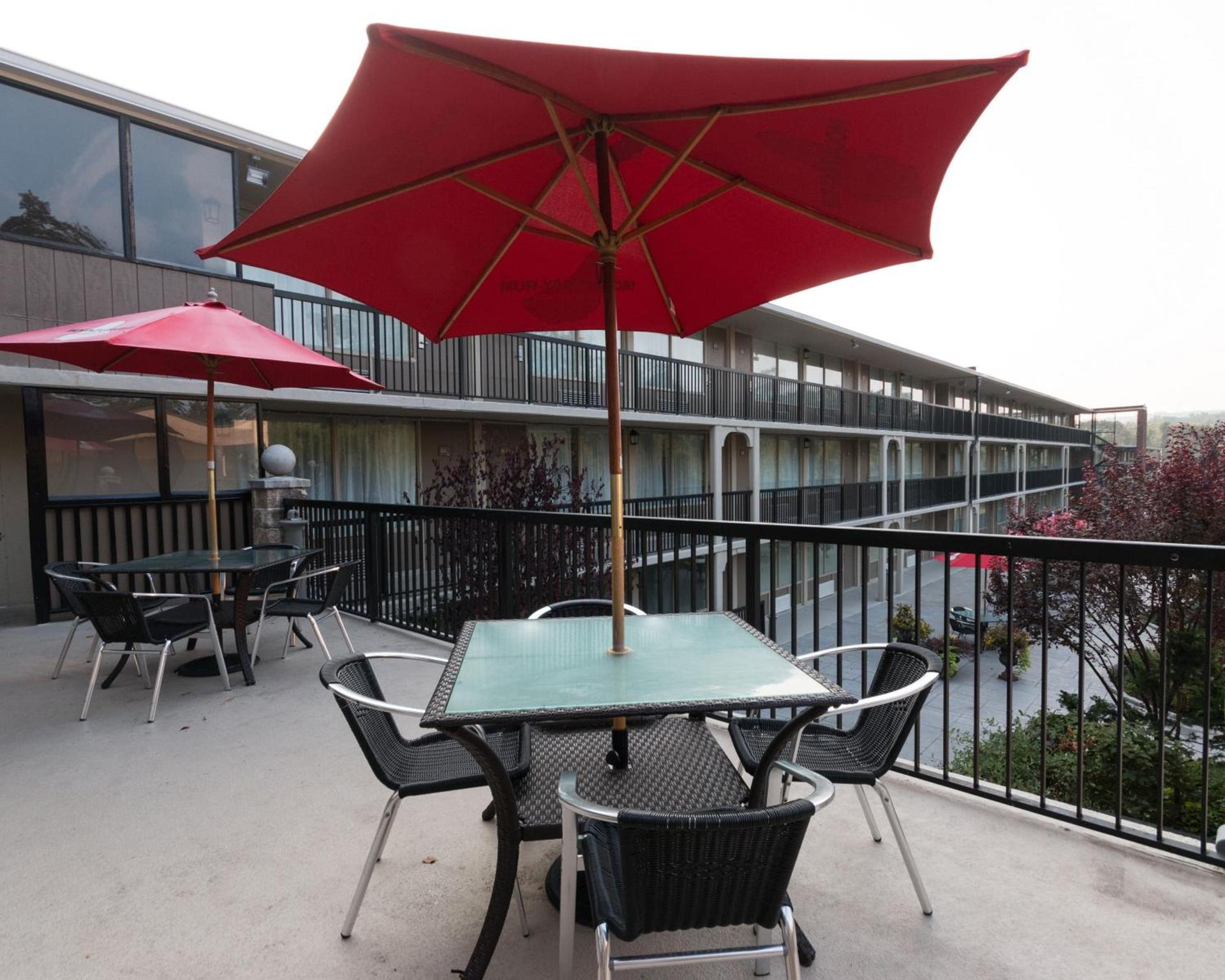 New Hope Inn & Suites photo 48