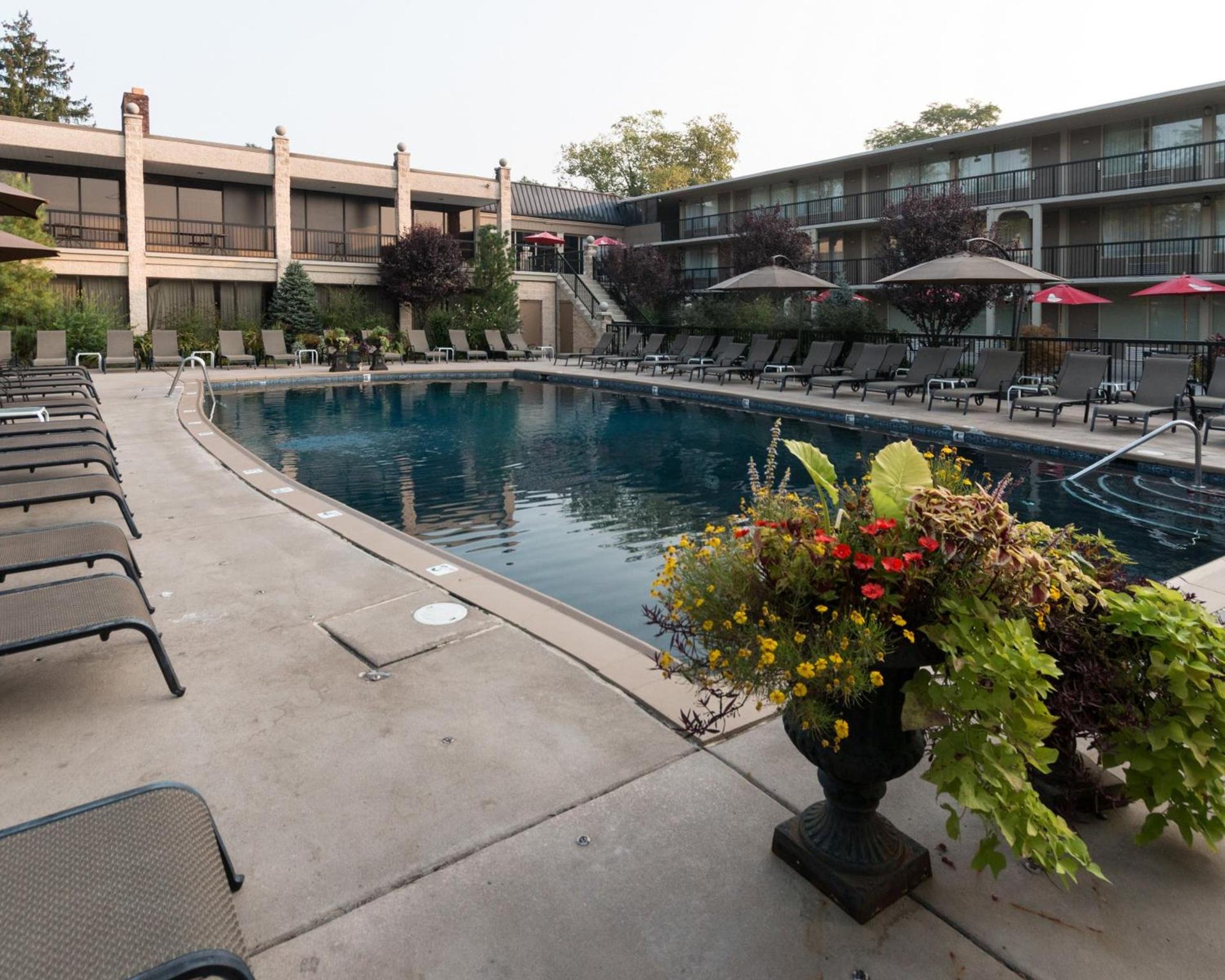 New Hope Inn & Suites photo 2