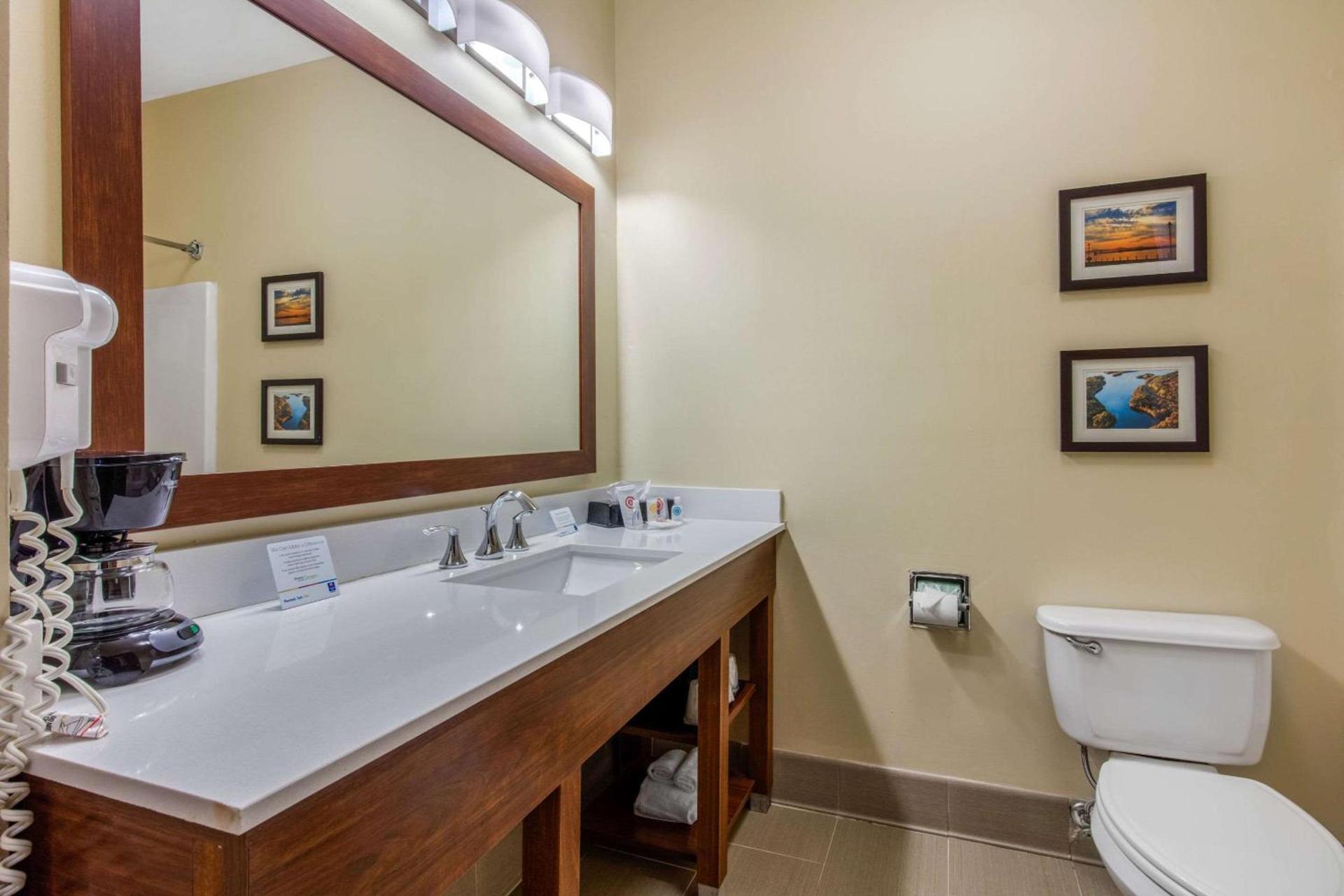 Comfort Inn & Suites McComb photo 33