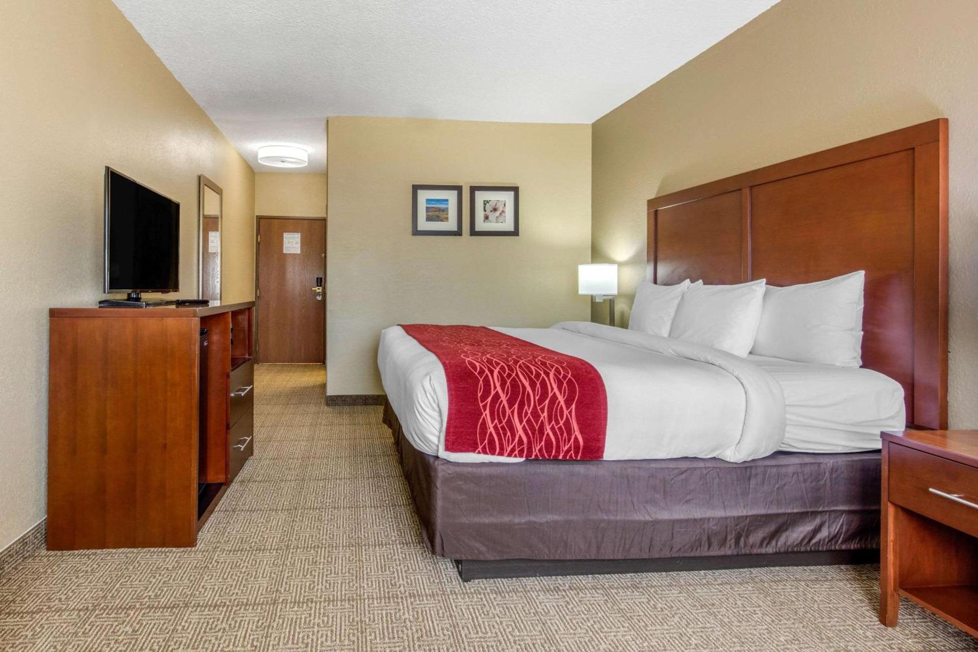 Comfort Inn & Suites McComb photo 30