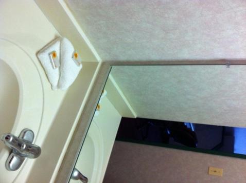 O'Hare Inn & Suites photo 19