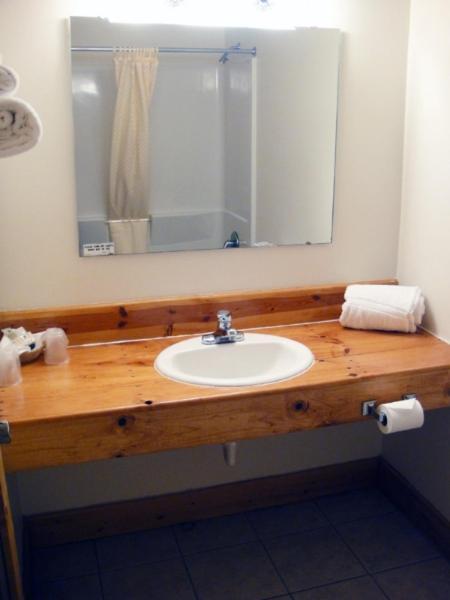 Hiawatha Lodge Inn photo 21