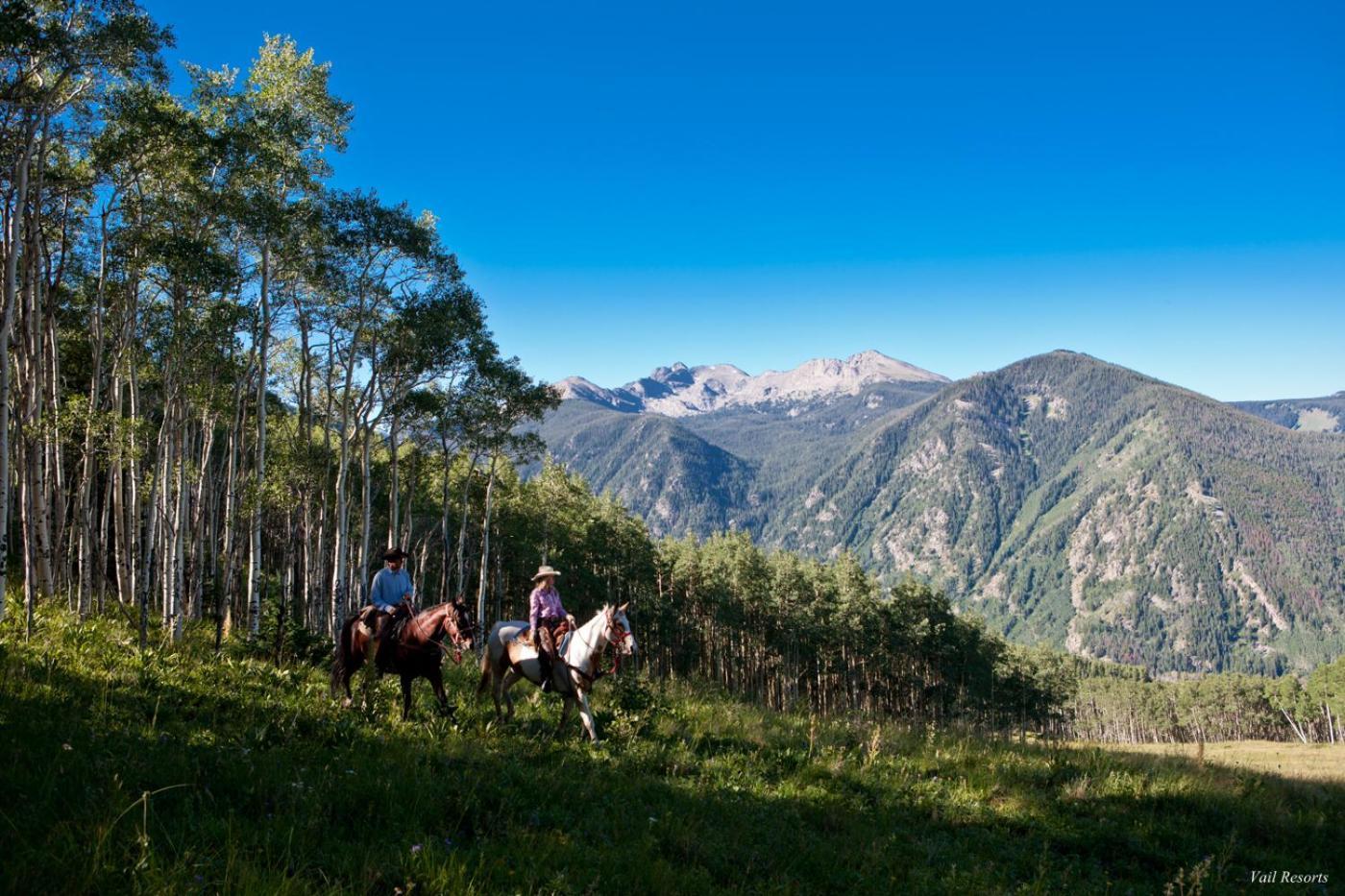 Poste Montane Lodge by East West photo 44