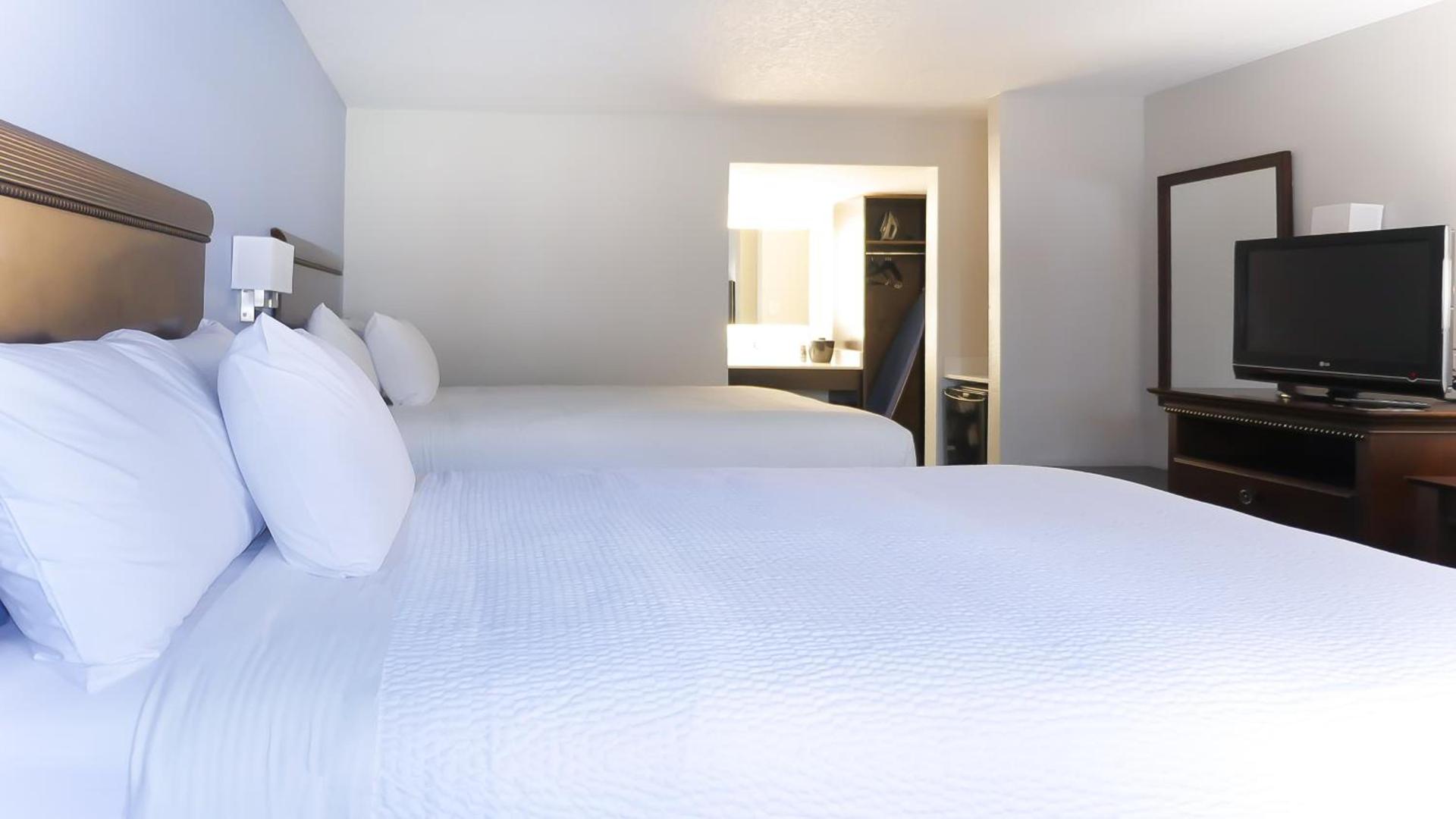 Hotel South Tampa & Suites photo 44