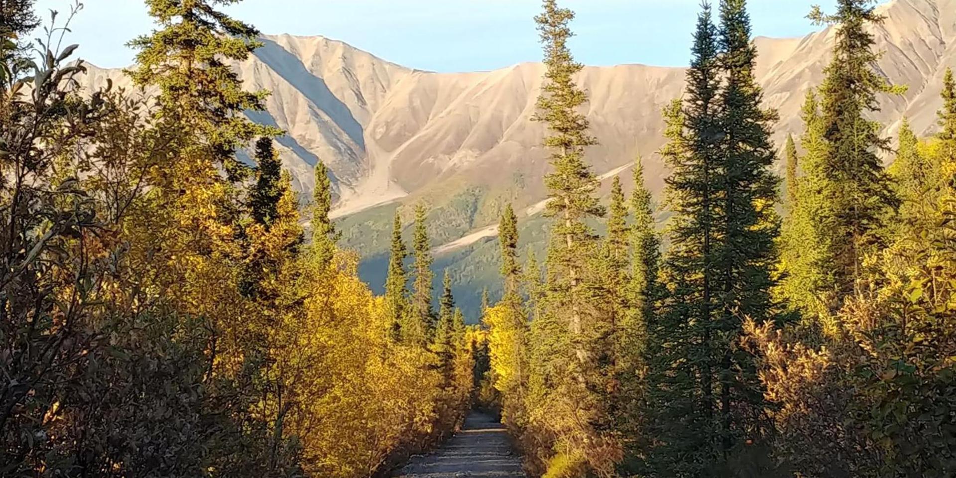 Blackburn Cabins - McCarthy, Alaska photo 11