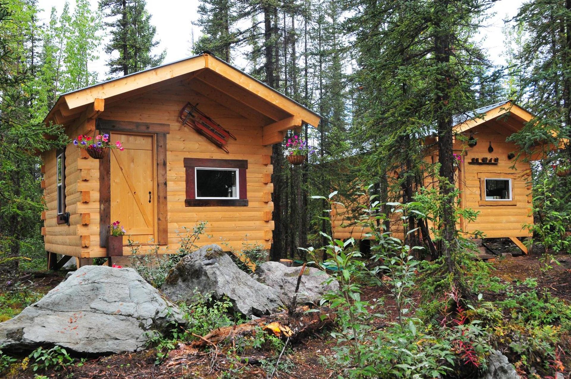 Blackburn Cabins - McCarthy, Alaska photo 47