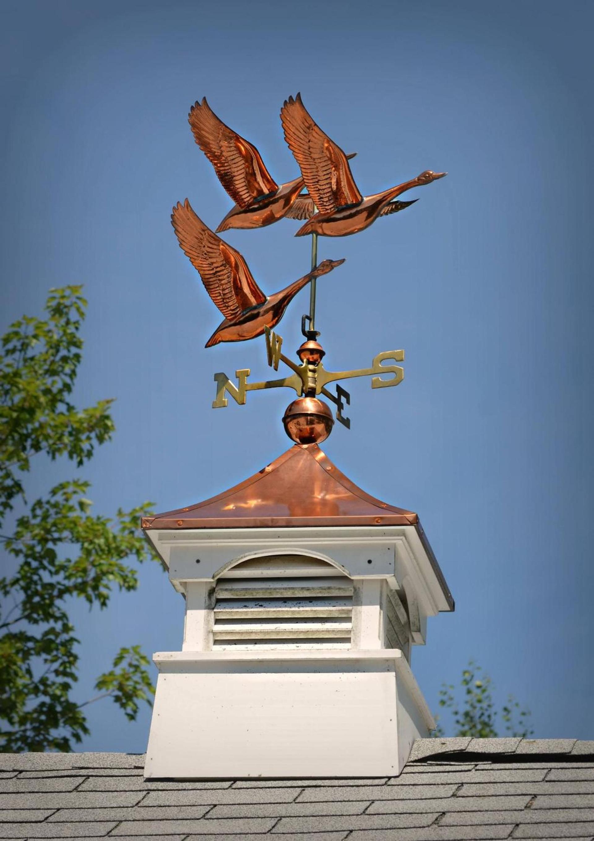 Kennebunkport Motor Lodge photo 6