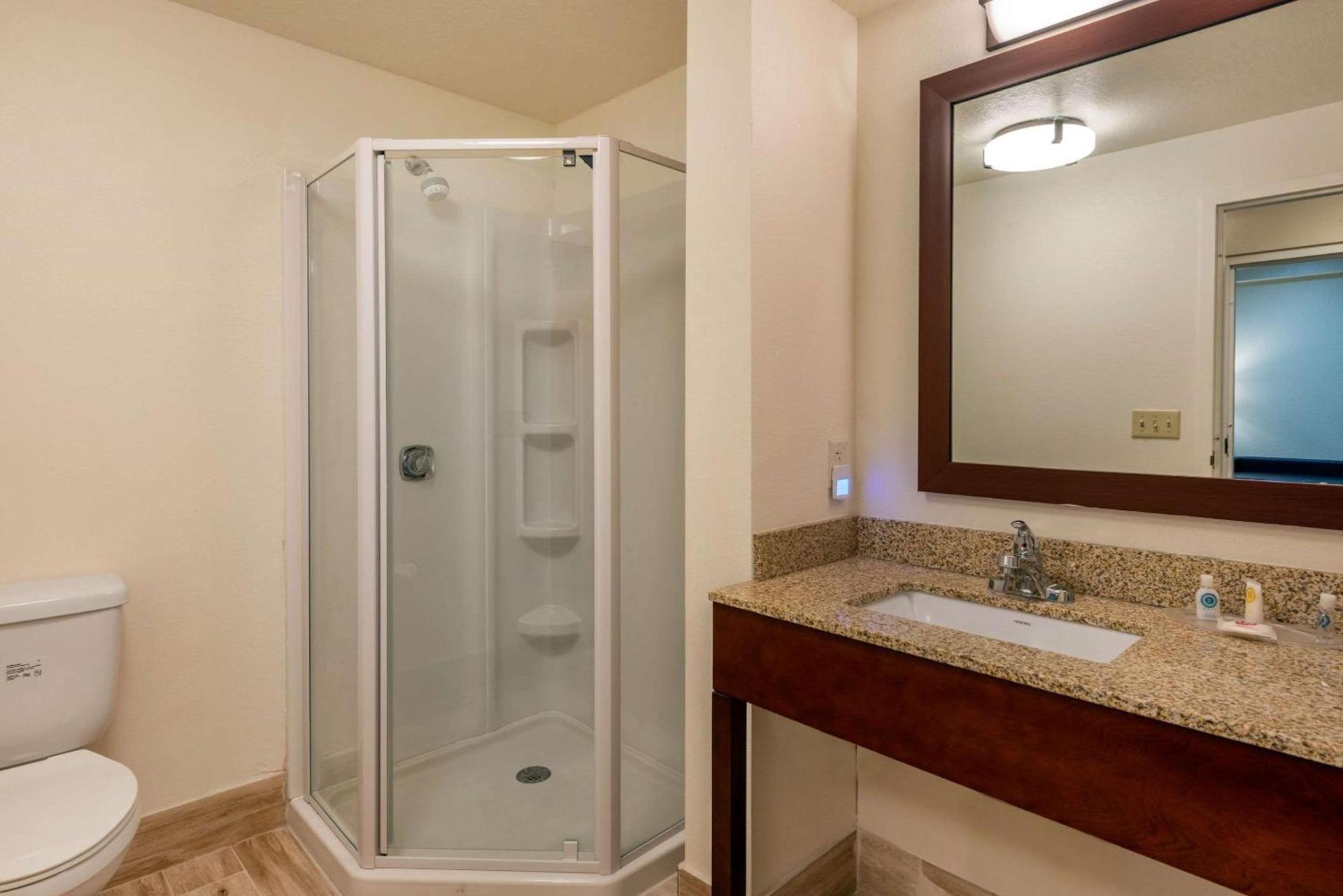 Comfort Suites Downtown photo 11
