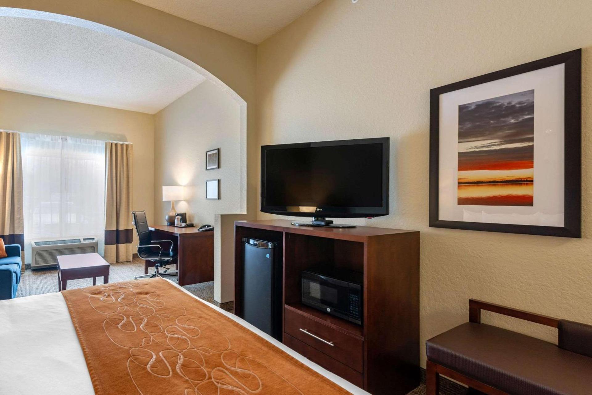 Comfort Suites Downtown photo 13