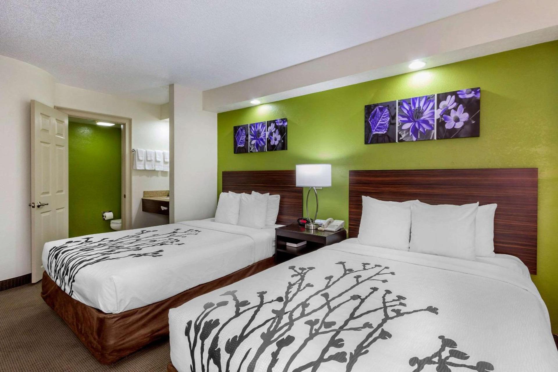 Sleep Inn near Busch Gardens - USF photo 23