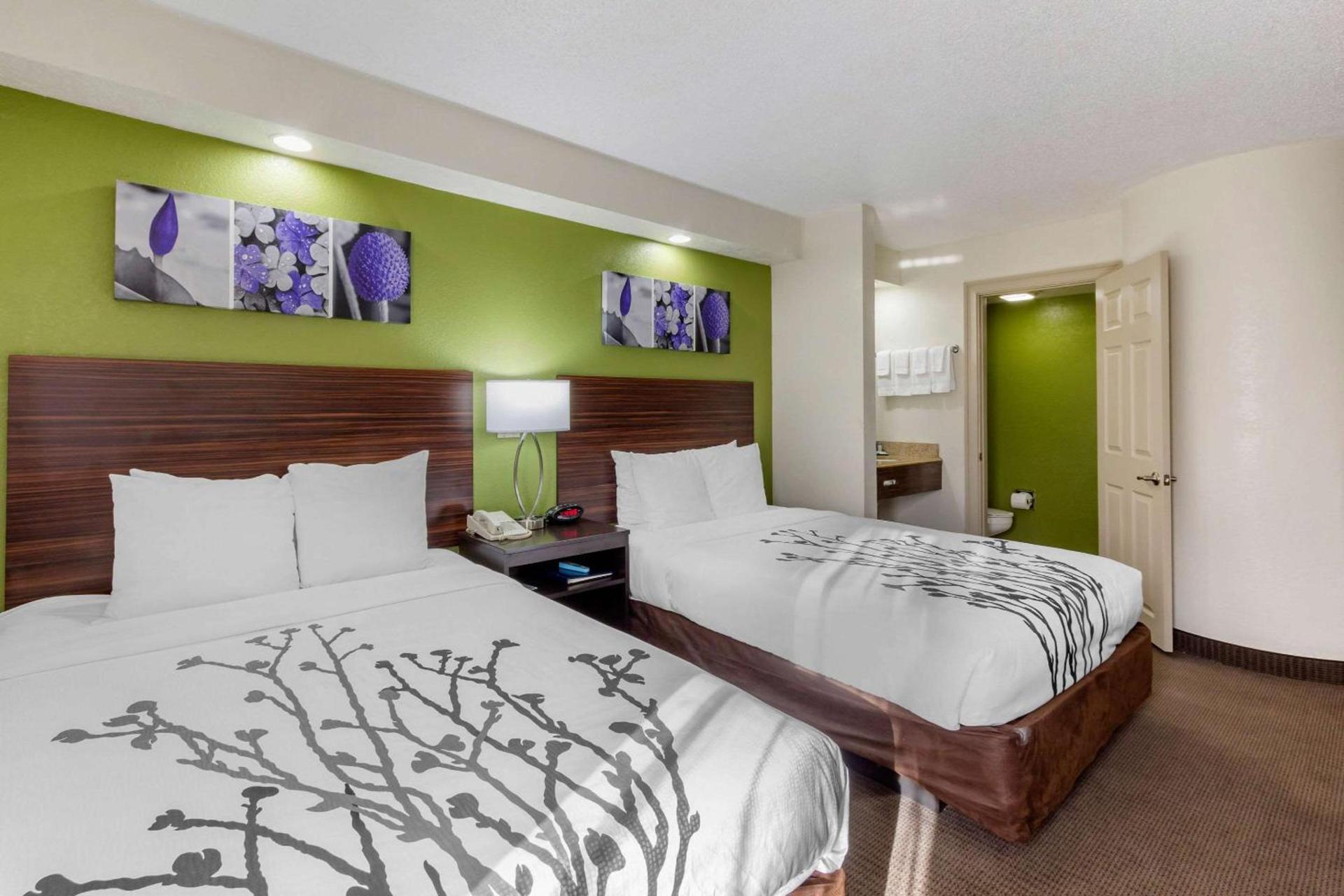 Sleep Inn near Busch Gardens - USF photo 8