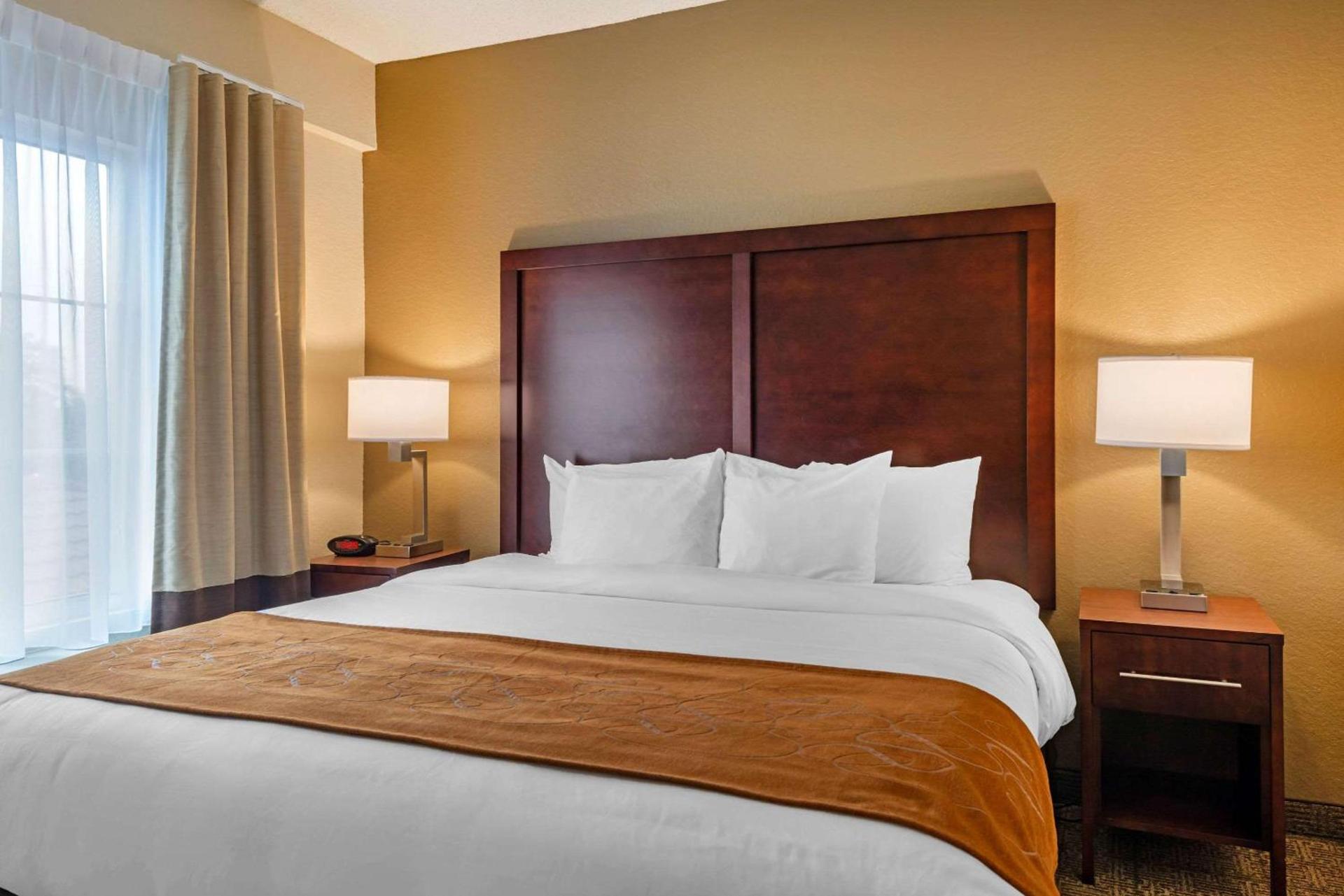 Comfort Suites Downtown photo 22