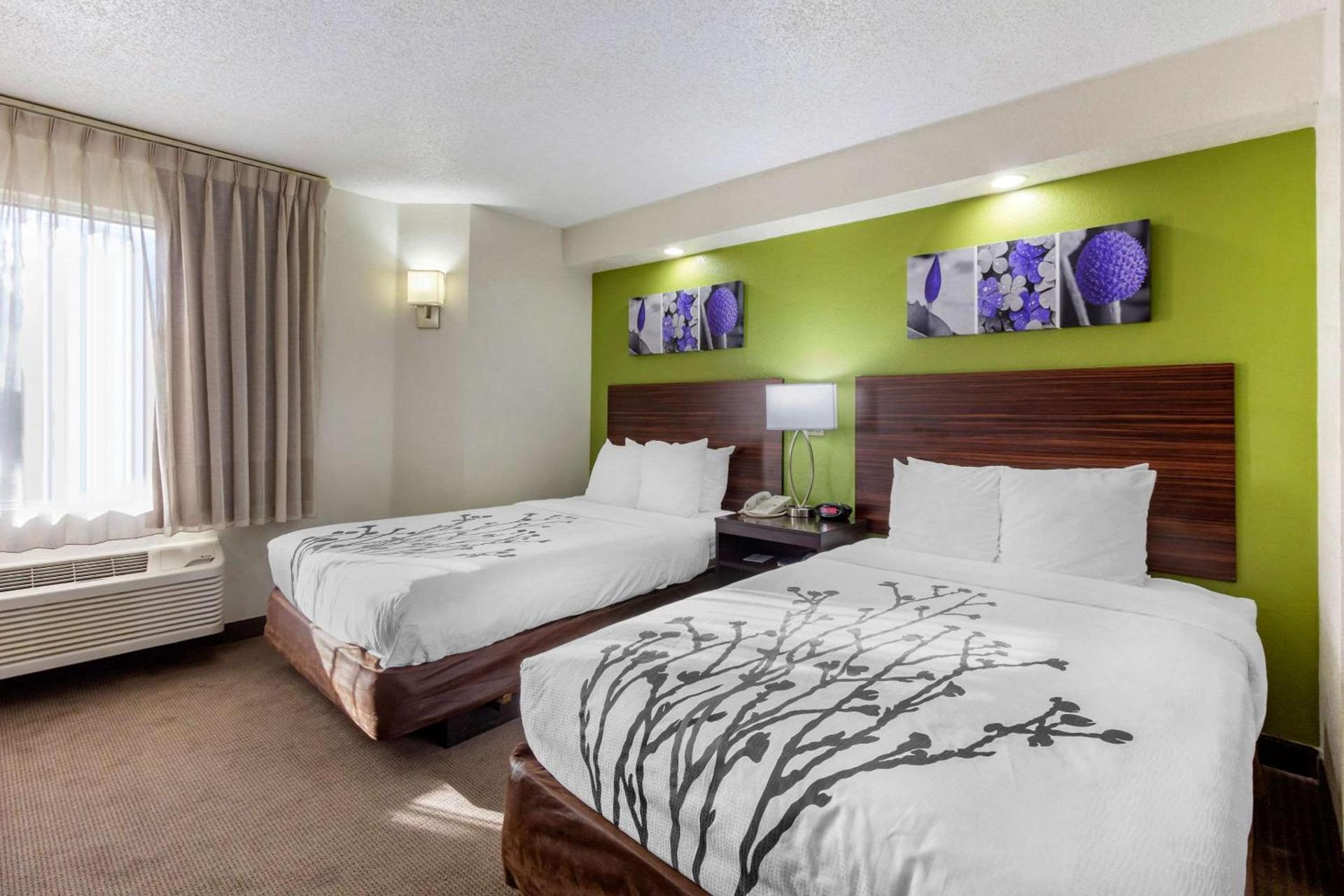 Sleep Inn near Busch Gardens - USF photo 6