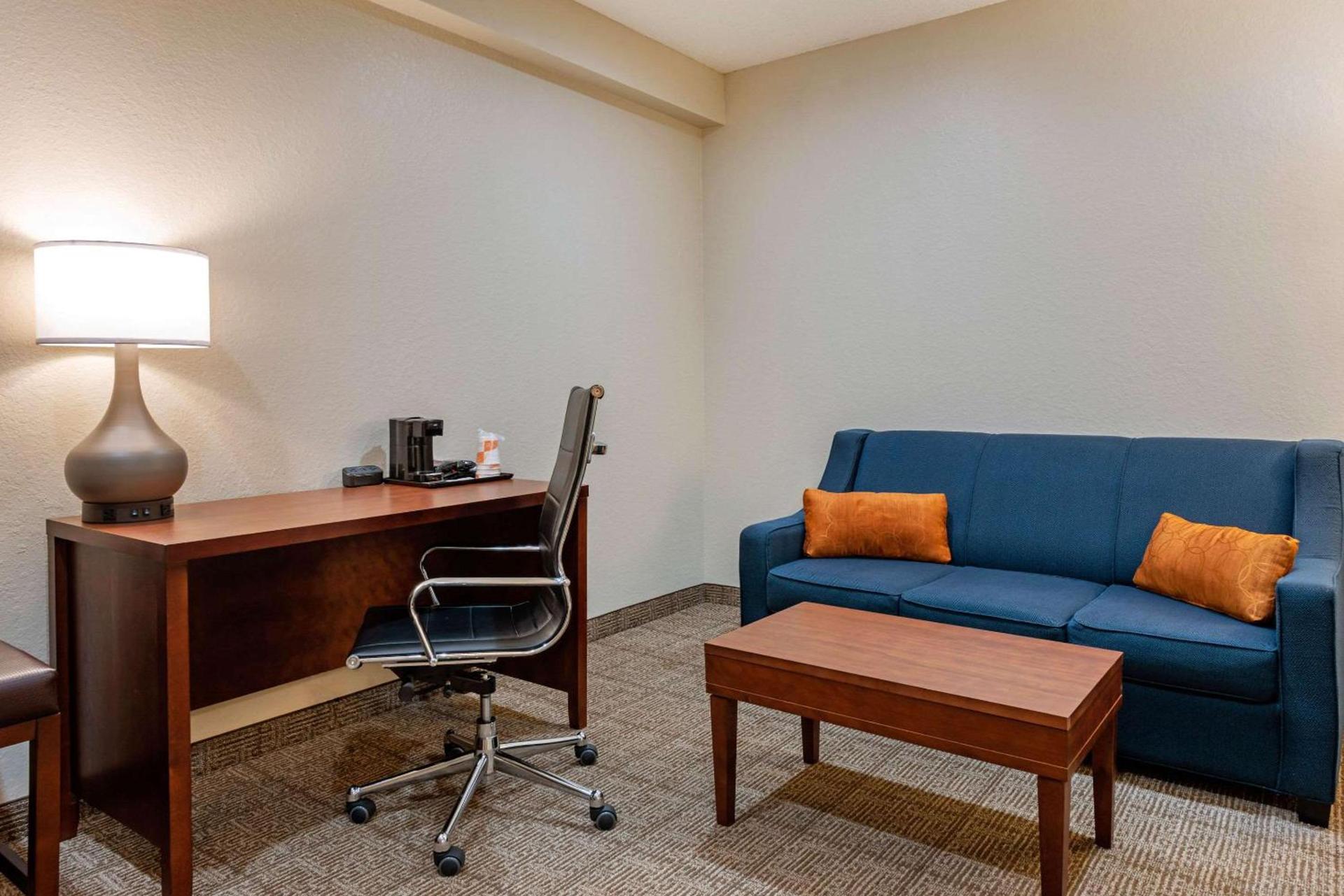 Comfort Suites Downtown photo 10