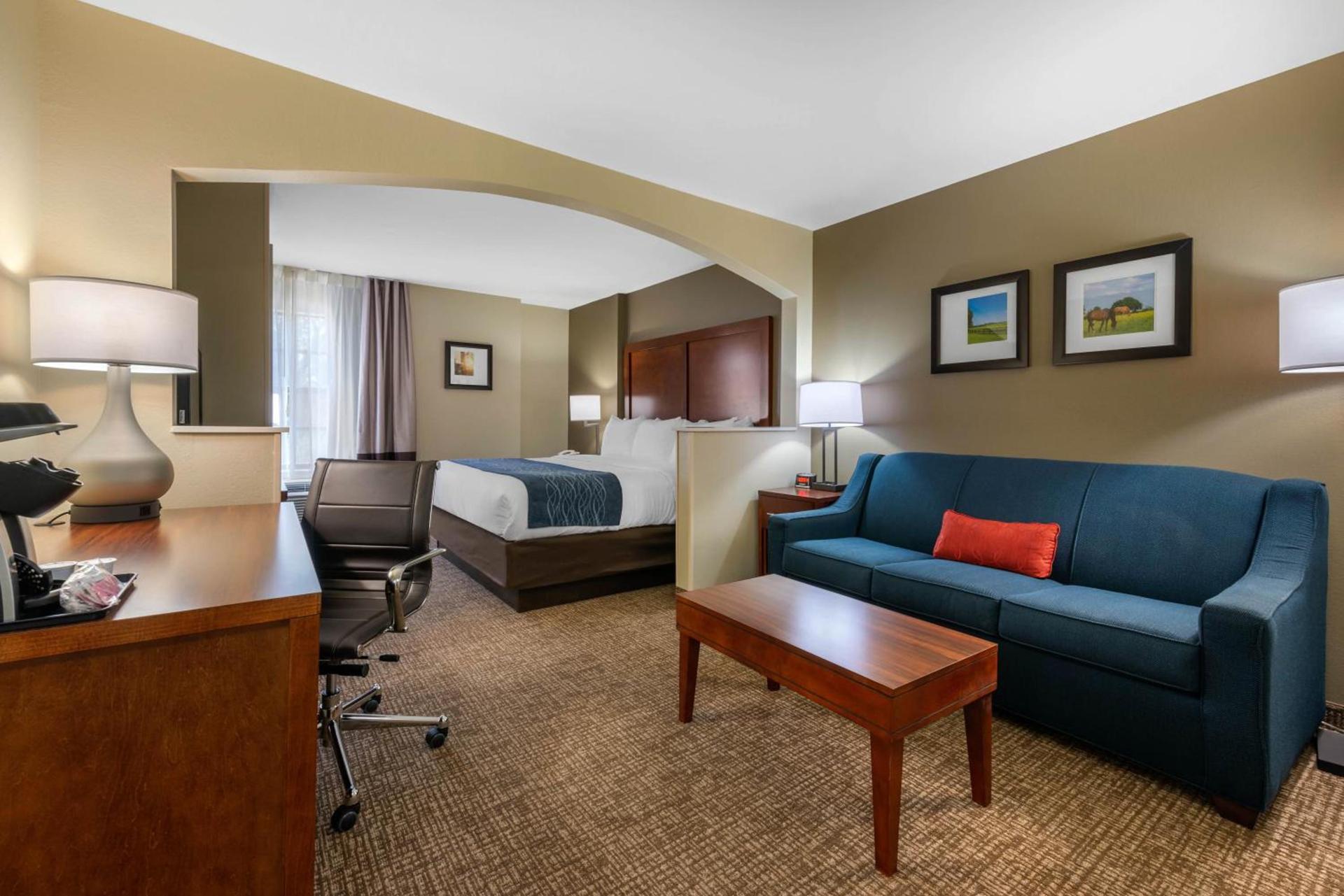 Comfort Inn Ocala Silver Springs photo 13