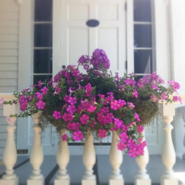 The Old Lyme Inn photo 23