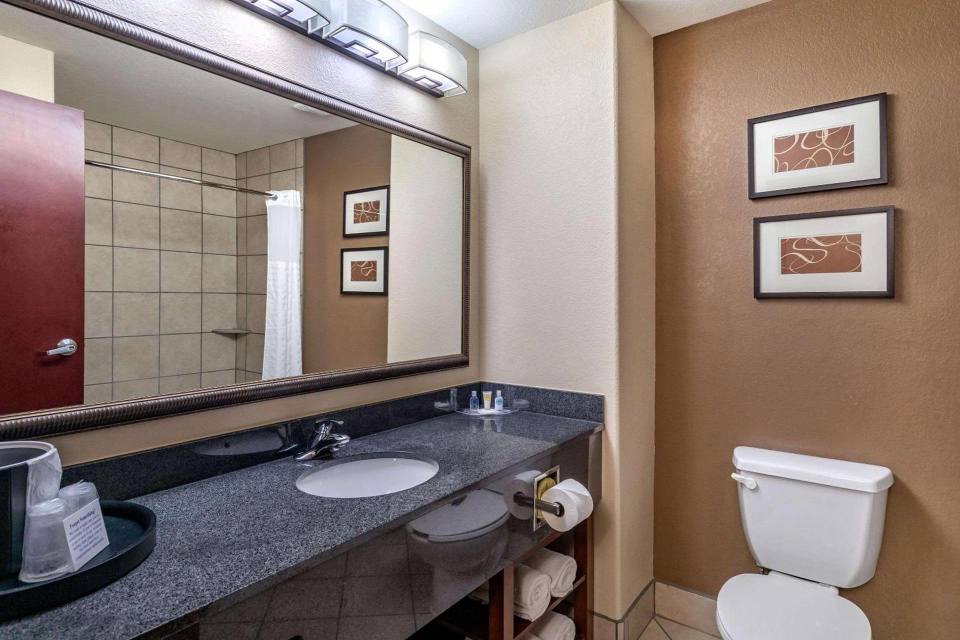 Comfort Suites Ennis photo 25