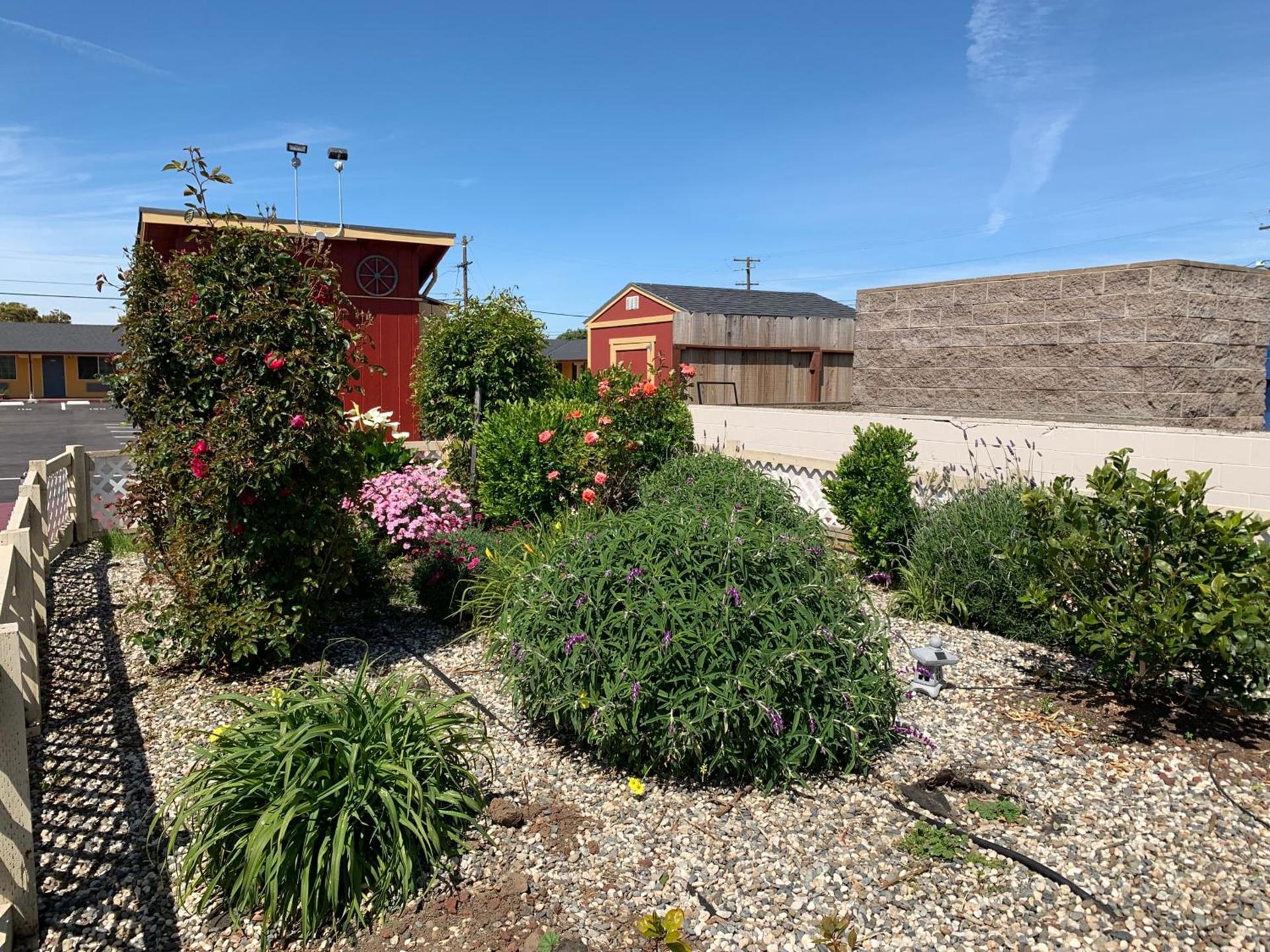 Wagon Wheel Motel photo 18