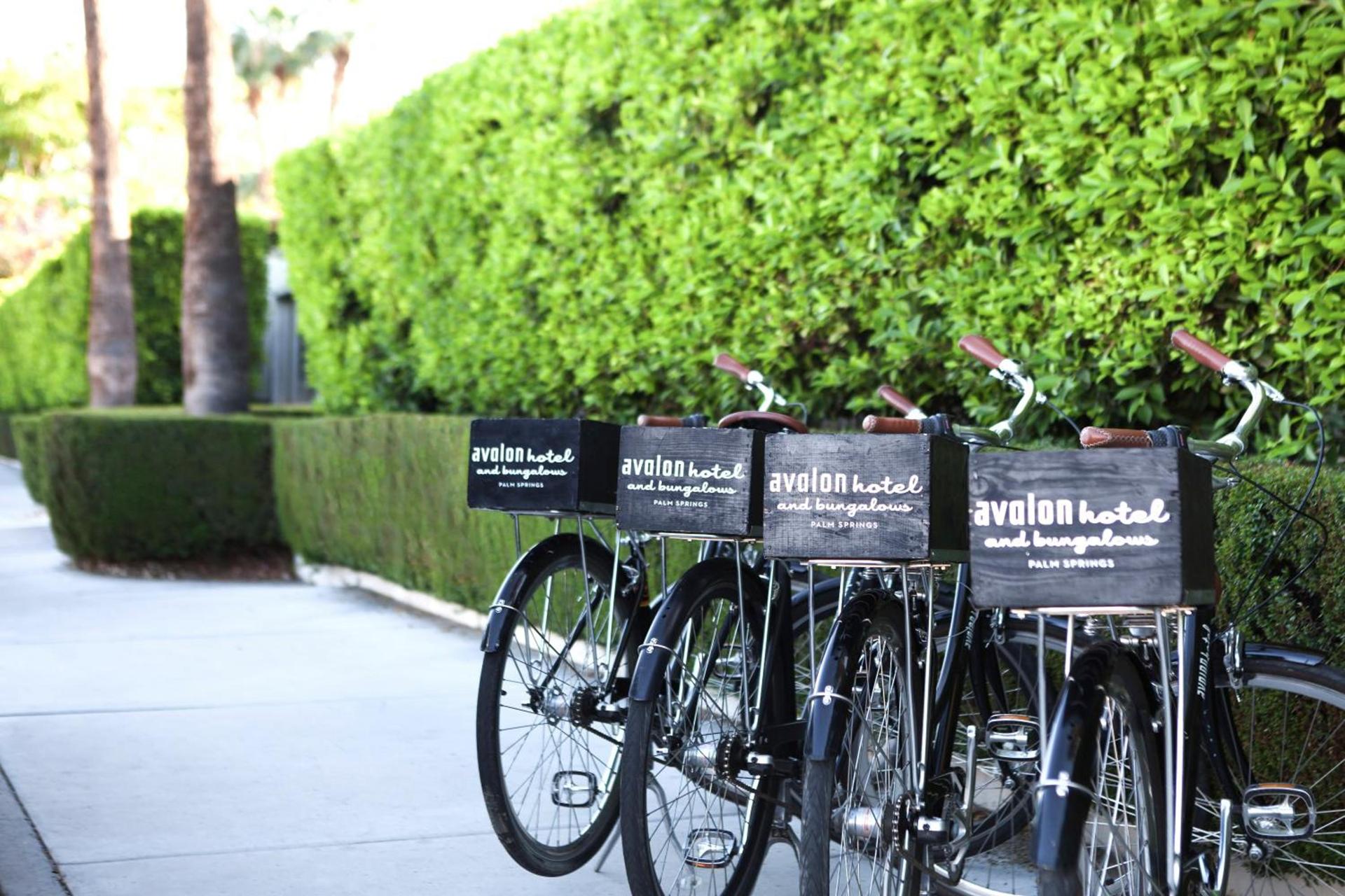 Avalon Hotel & Bungalows Palm Springs, a Member of Design Hotels photo 22