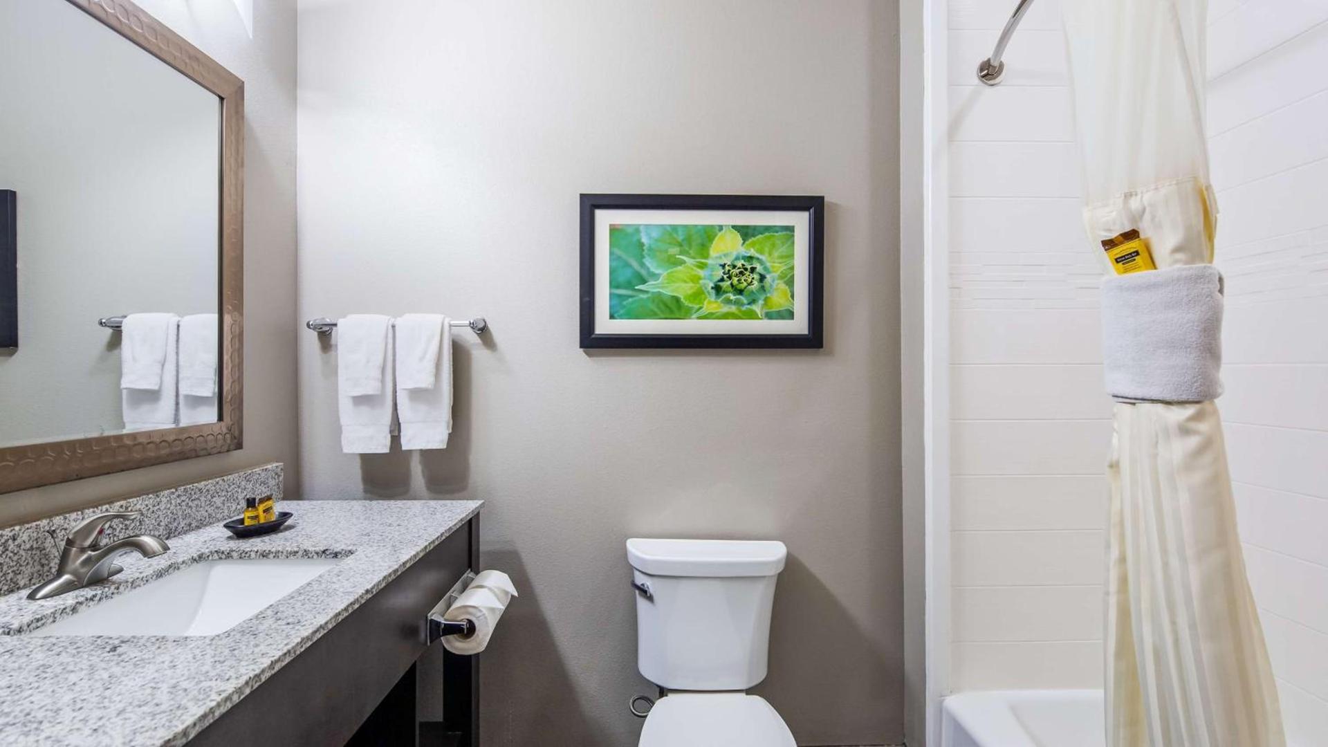 Best Western Plus Tech Medical Center Inn photo 27