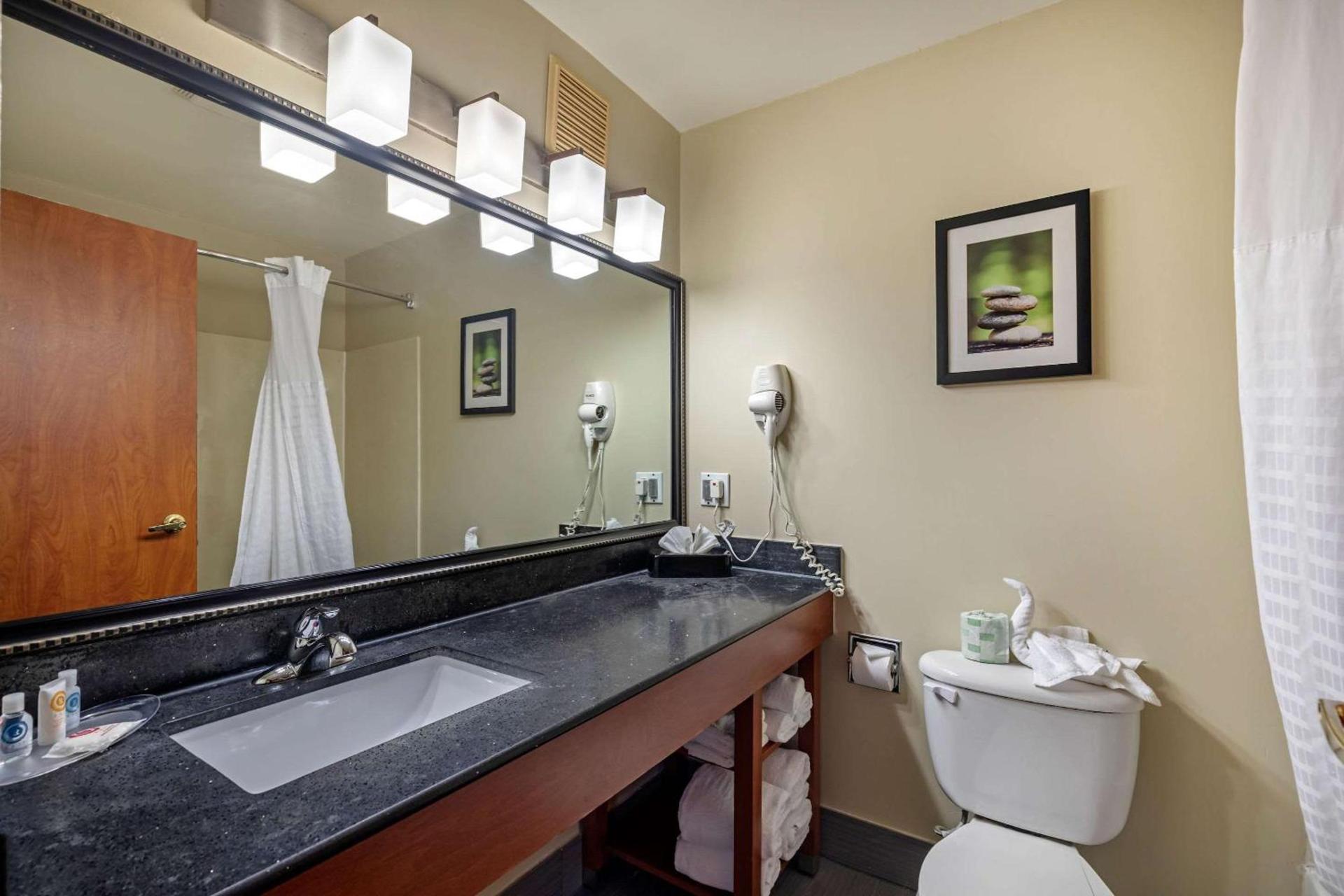 Comfort Suites North Dallas photo 54