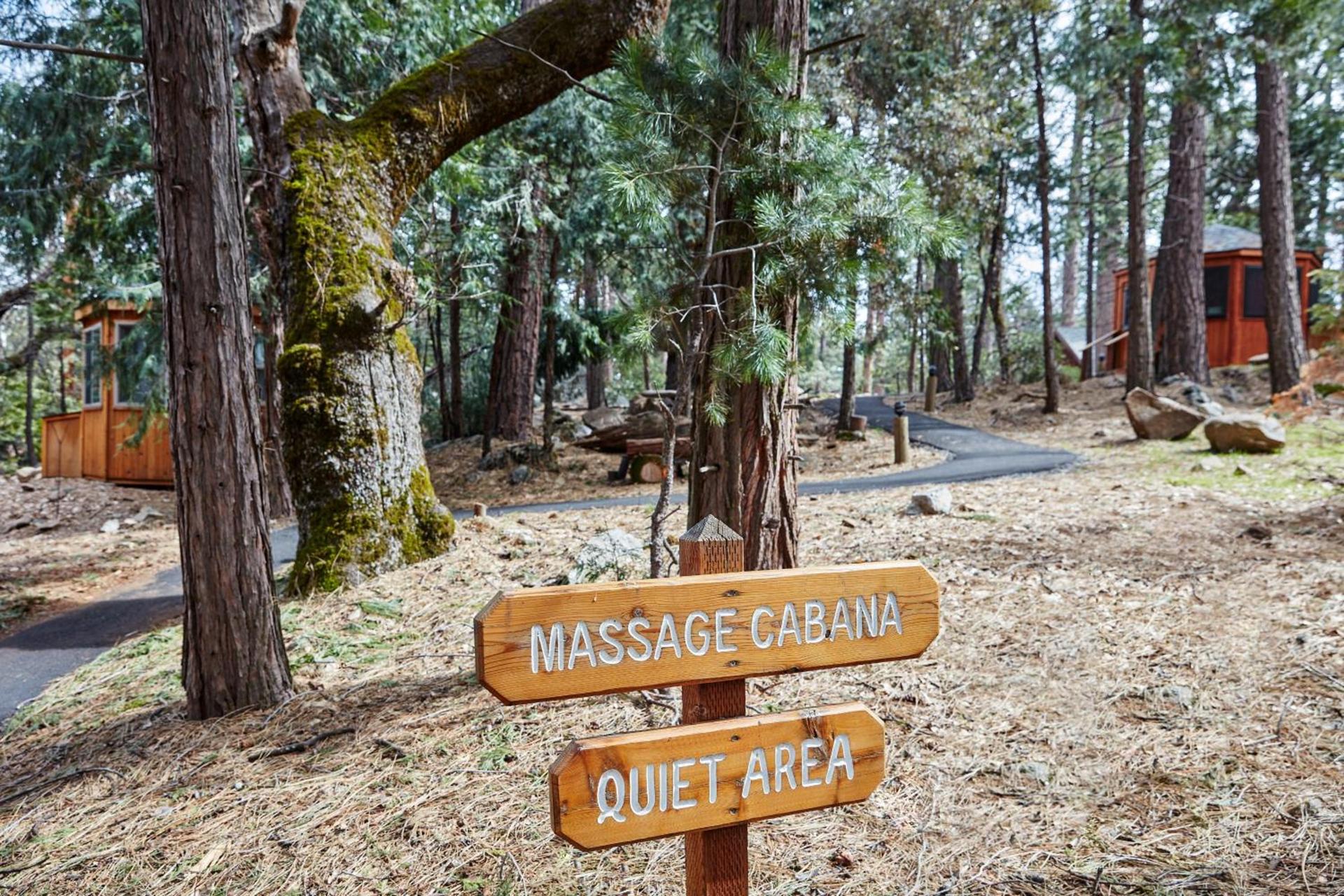 Evergreen Lodge at Yosemite photo 40