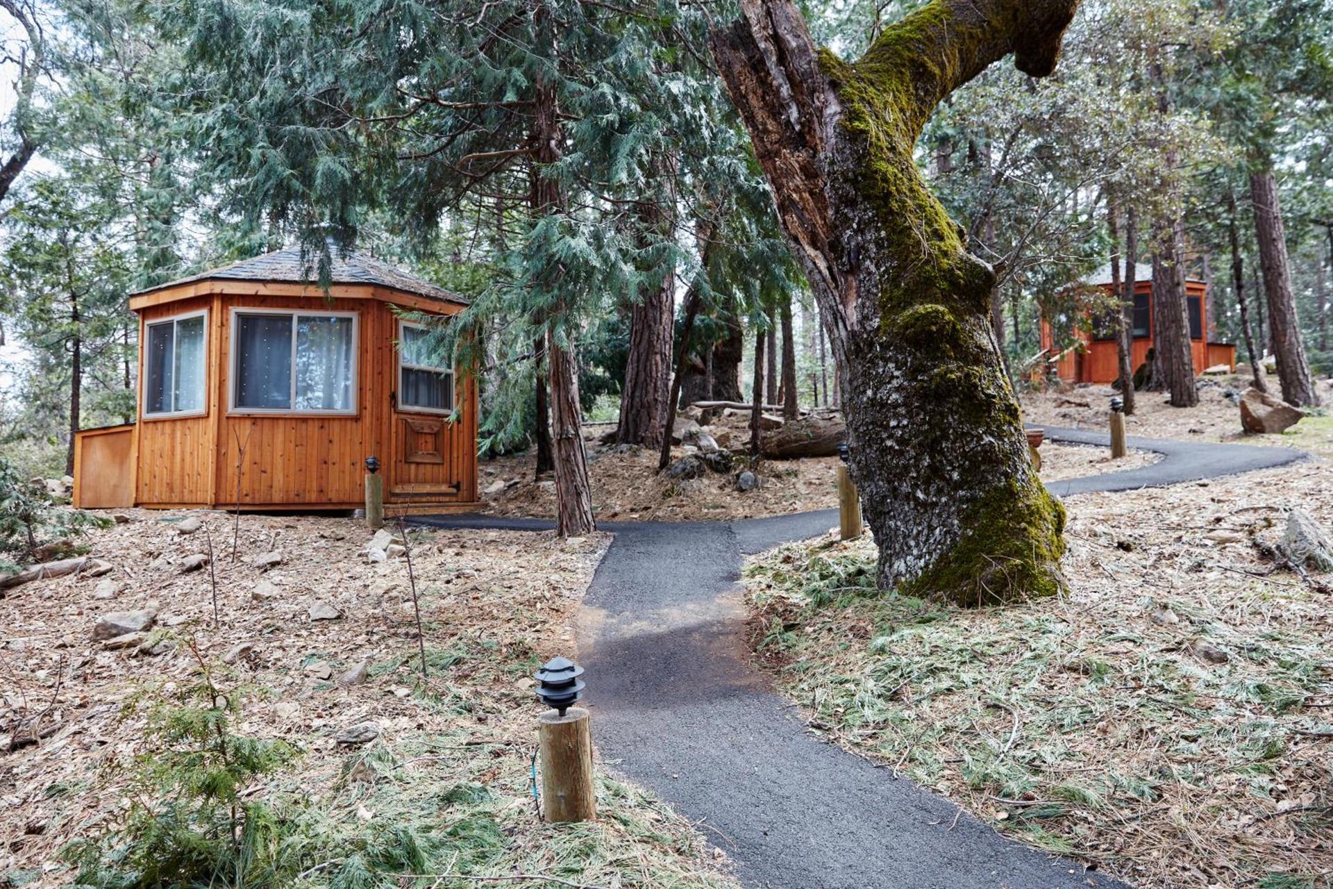Evergreen Lodge at Yosemite photo 38