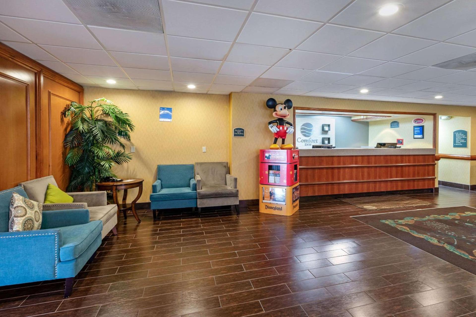 Comfort Inn Anaheim Resort photo 3