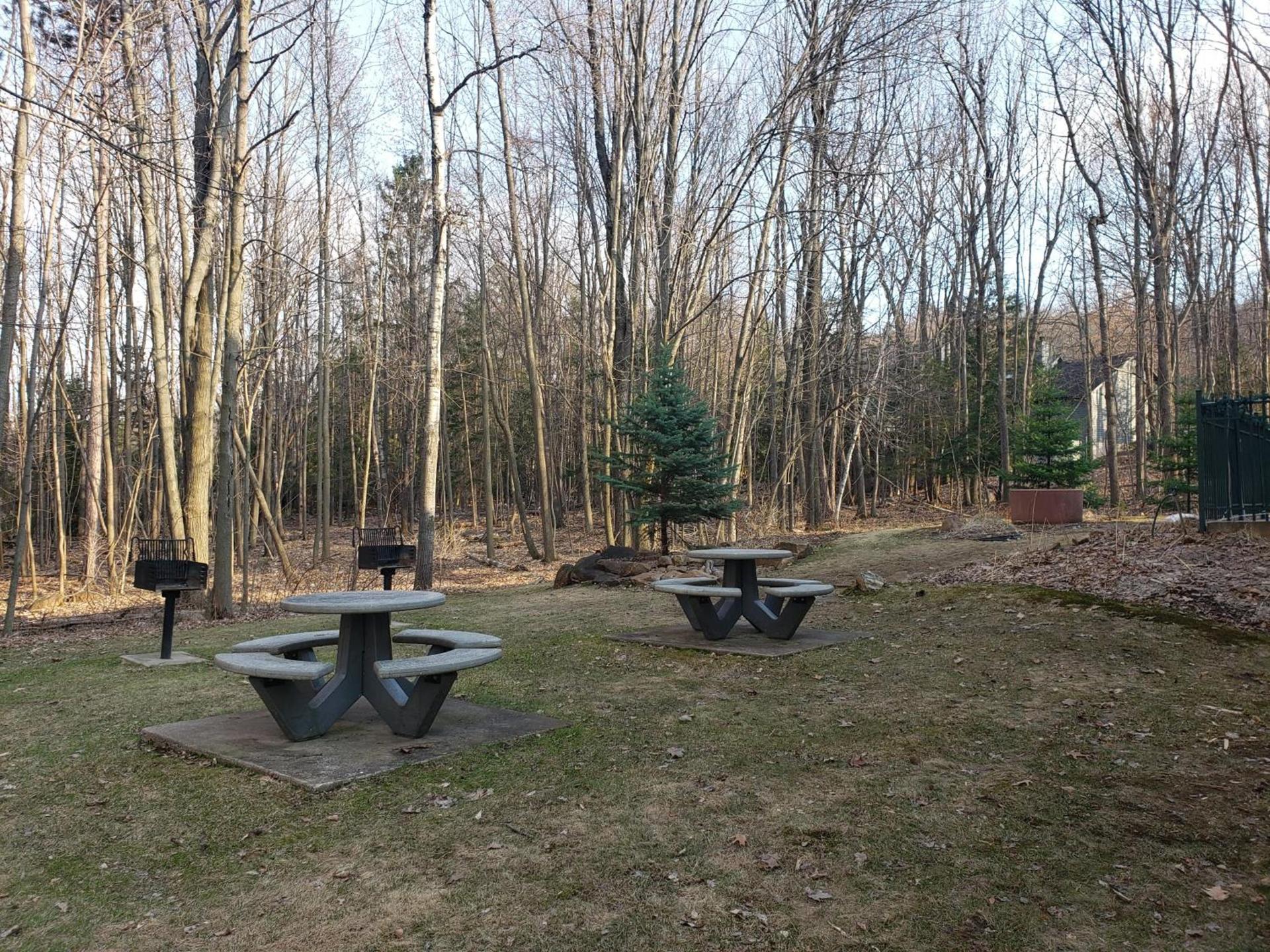 Rib Mountain Inn photo 14