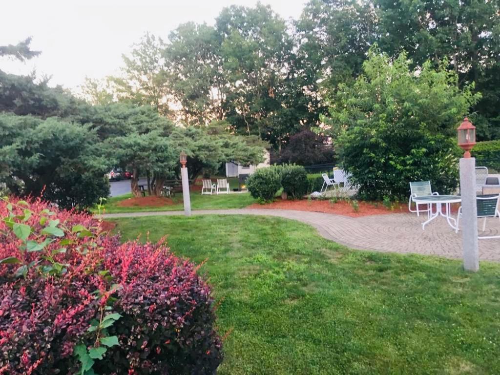 Anchorage Inn Rochester photo 11
