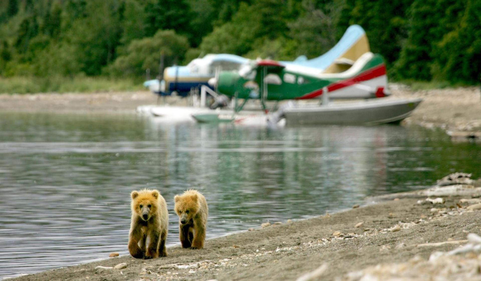 Stillpoint Lodge - All-Inclusive photo 16