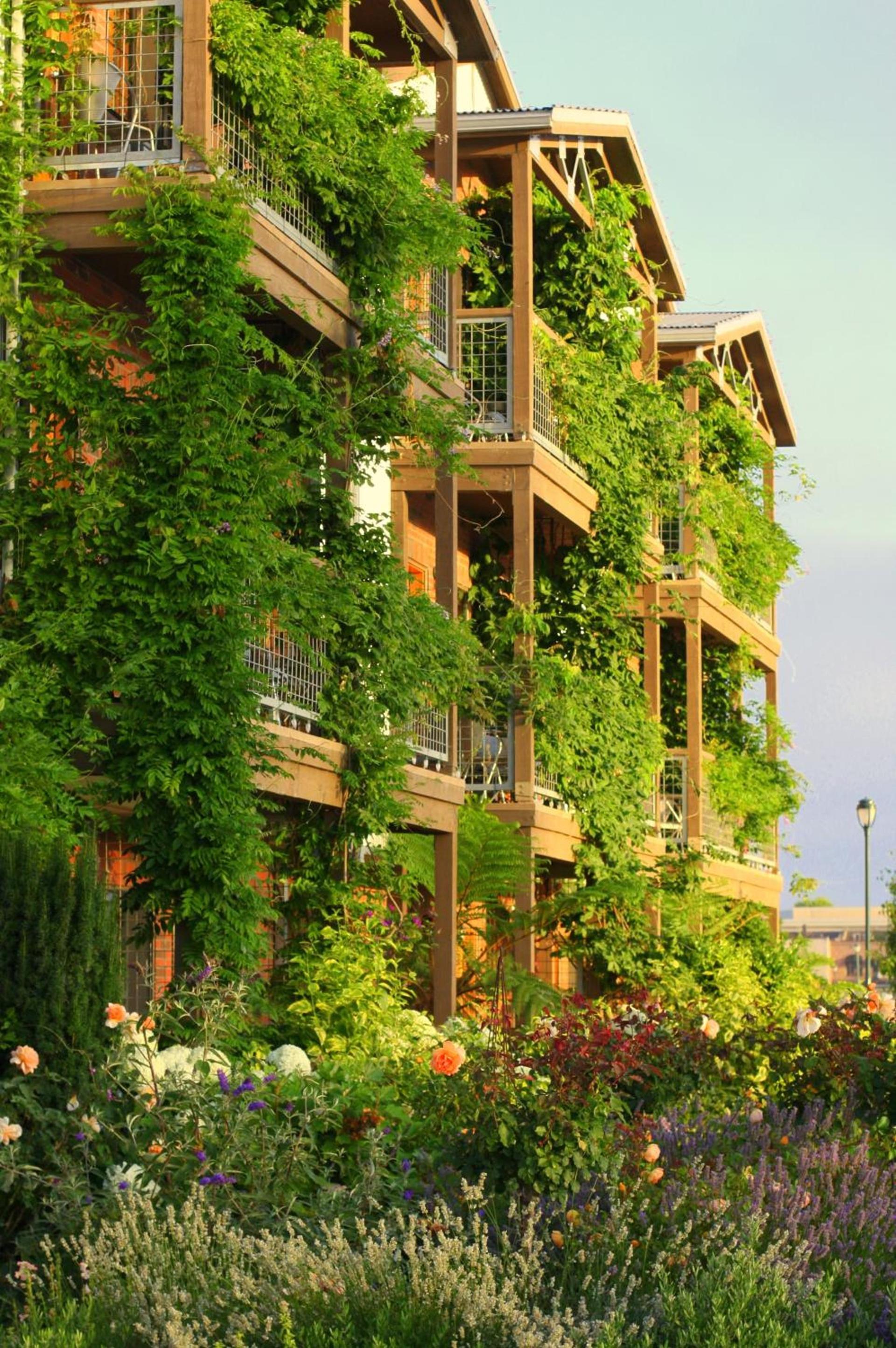 Napa River Inn photo 22