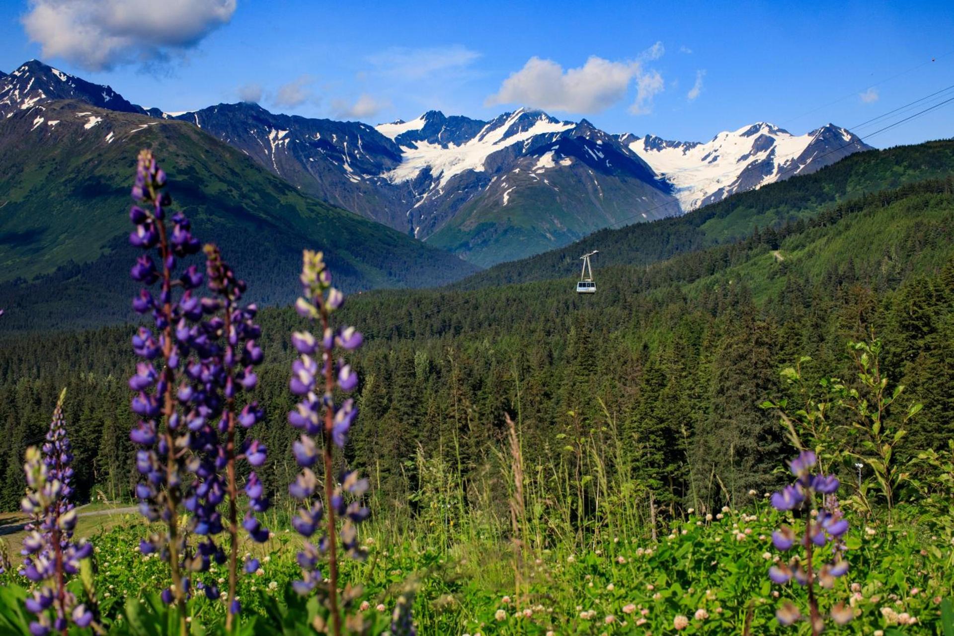 Alyeska Resort photo 25