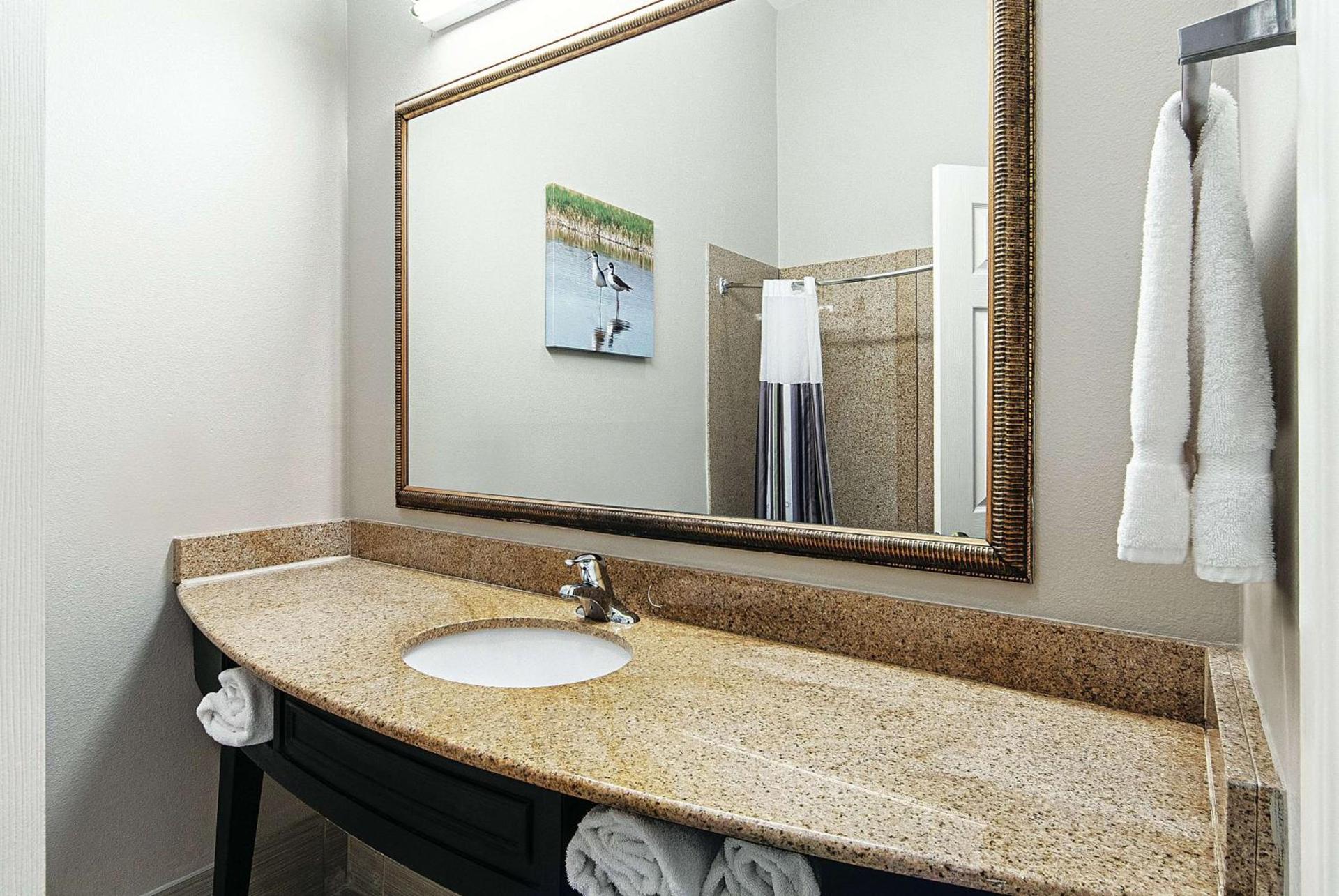 La Quinta by Wyndham Alamo-McAllen East photo 57